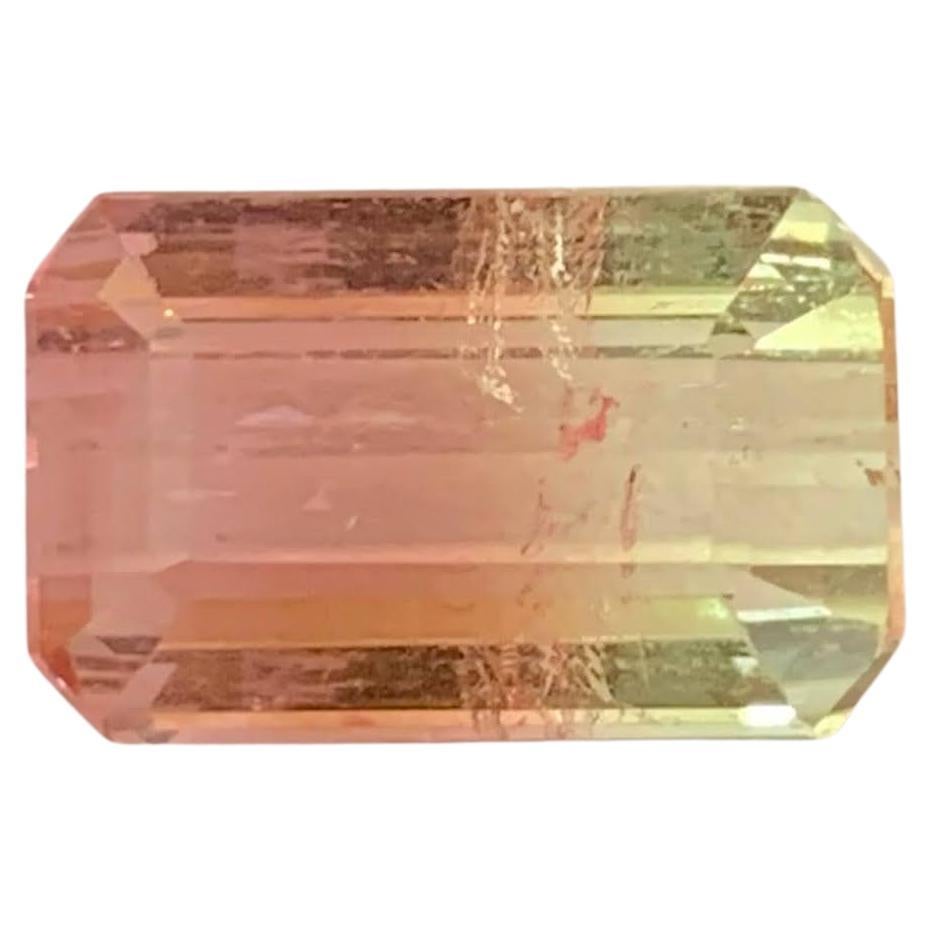 6.75 Karat Natürliche Lose Bi Color Turmalin Stein Smaragd Schliff Afrika Edelstein im Angebot