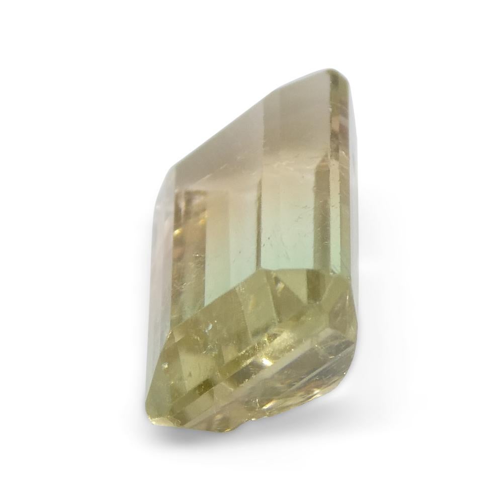 6.77ct Emerald Cut Blue-Green & Pink Bi-Colour Tourmaline For Sale 4