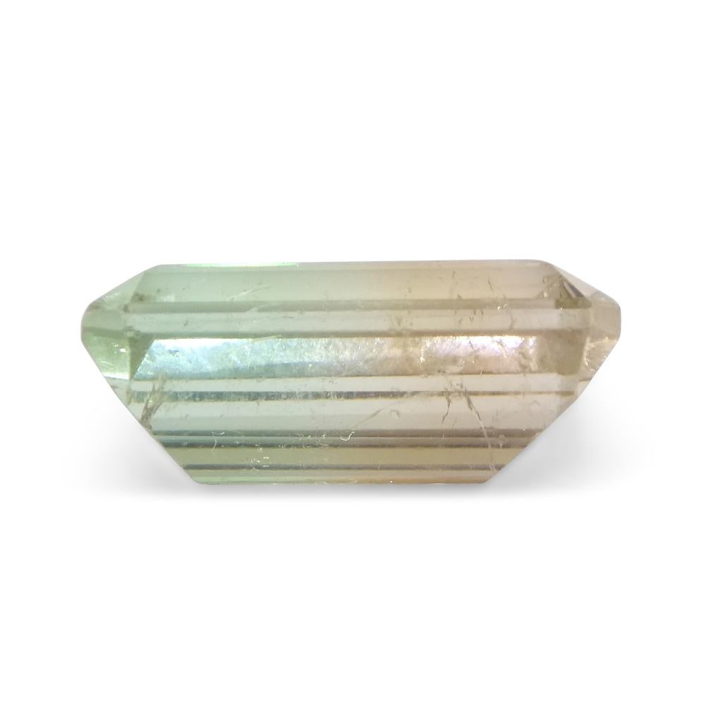 6.77ct Emerald Cut Blue-Green & Pink Bi-Colour Tourmaline For Sale 5