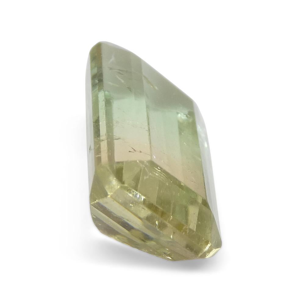 6.77ct Emerald Cut Blue-Green & Pink Bi-Colour Tourmaline from Brazil For Sale 6