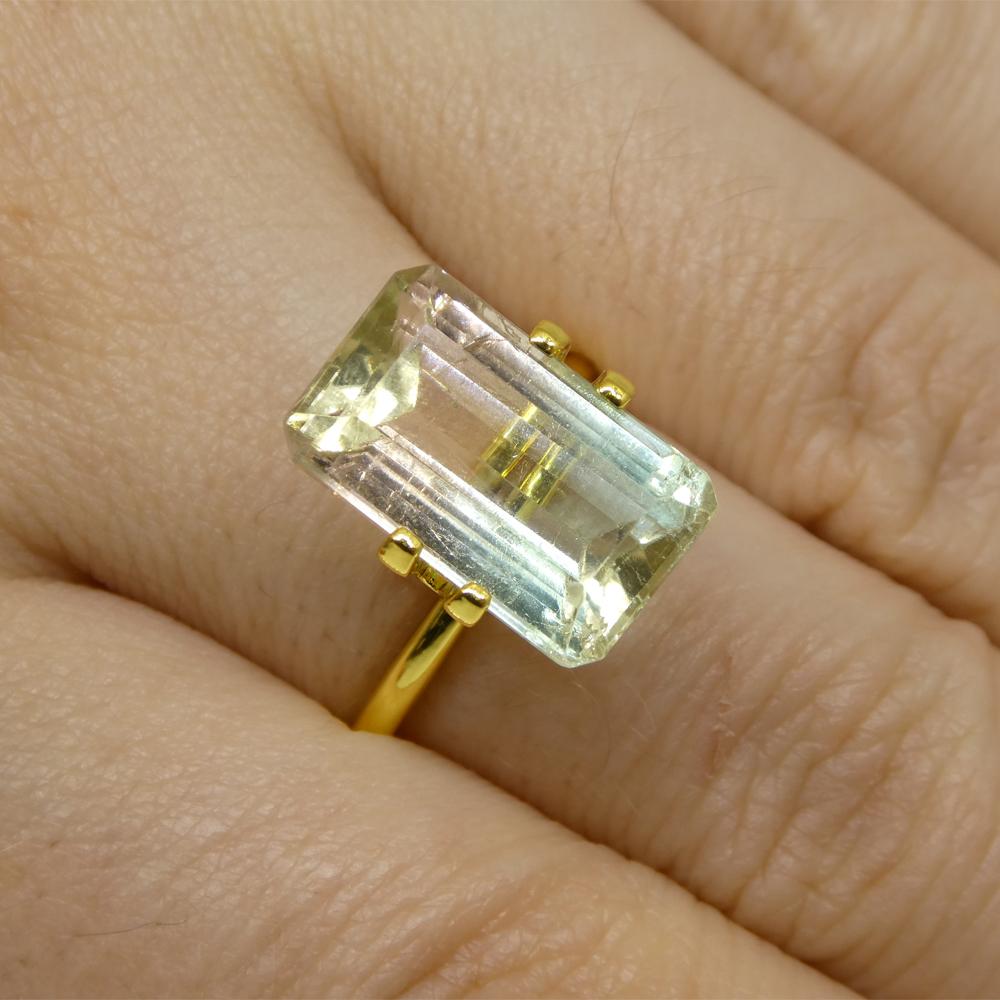 Description:

Gem Type: Bi-Colour Tourmaline
Number of Stones: 1
Weight: 6.77 cts
Measurements: 14.35 x 8.73 x 6.04 mm
Shape: Emerald Cut
Cutting Style Crown: Step Cut
Cutting Style Pavilion: Step Cut
Transparency: Transparent
Clarity: Slightly