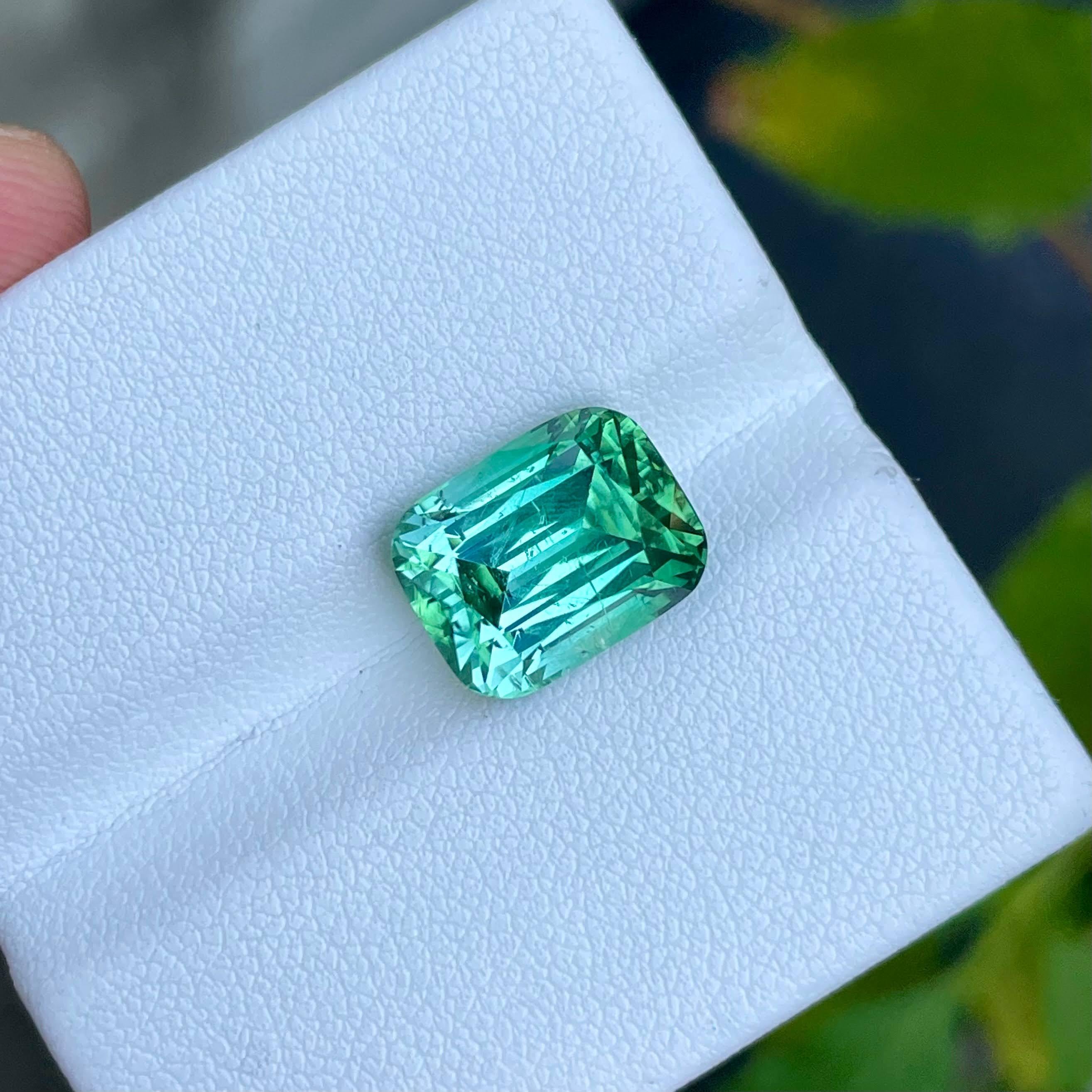 6.78 carats
11.6x9x8 mm
Clarity: SI
Origin: Afghanistan
Treatment : None
Shape: Cushion
Cut: Step Cushion




The 6.78 carats Mint Green Tourmaline is an exquisite natural gemstone sourced from Afghanistan, renowned for producing some of the world's