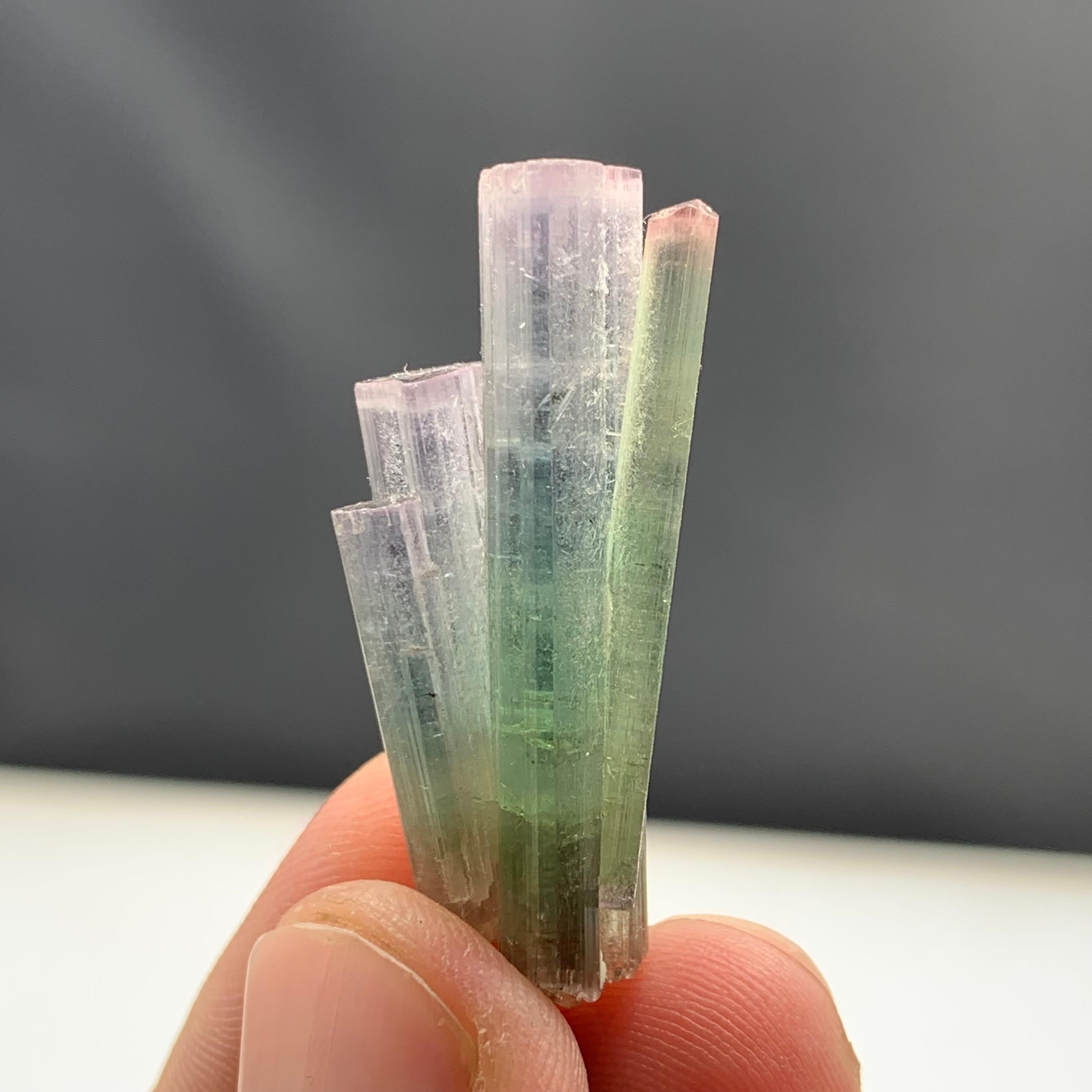 6.82 Gram Pink Cap Tri Color Tourmaline Crystal Bunch From Paprook, Afghanistan  For Sale 3