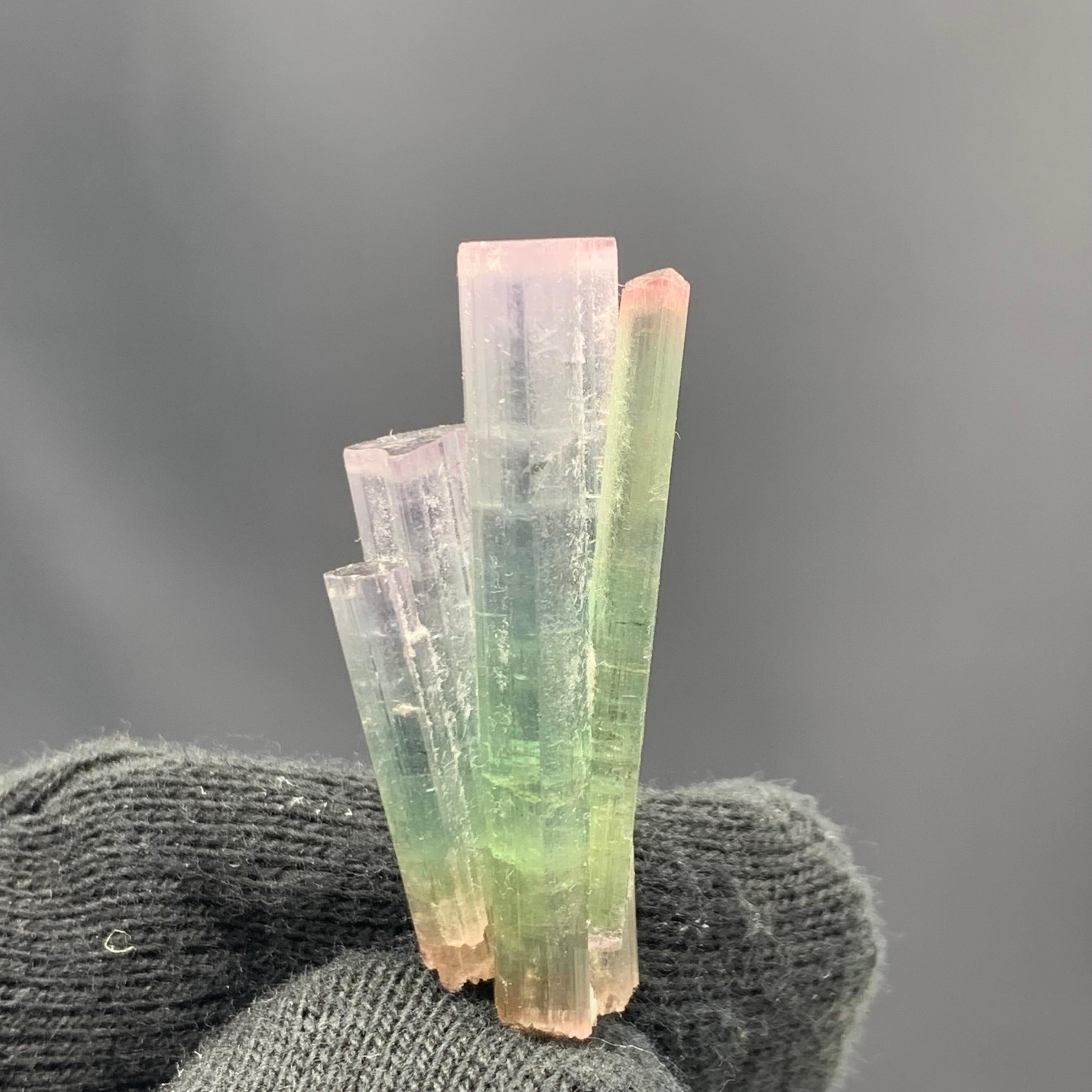 6.82 Gram Pink Cap Tri Color Tourmaline Crystal Bunch From Paprook, Afghanistan 

Weight: 6.82 Gram 
Dimension: 3.7 x 1.9 x 0.9 Cm
Origin: Paprook Mine, Afghanistan 

Tourmaline is a crystalline silicate mineral group in which boron is compounded