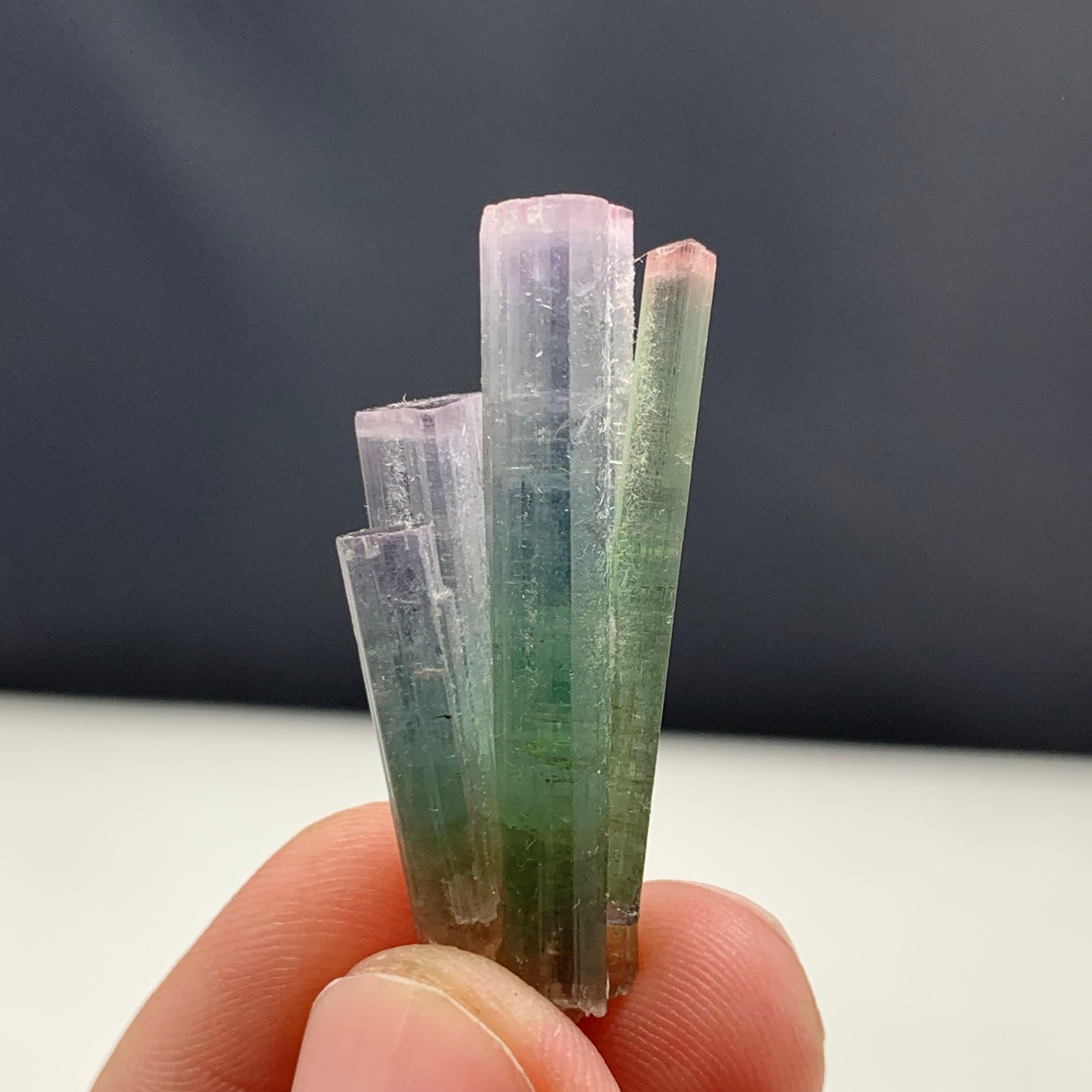 Other 6.82 Gram Pink Cap Tri Color Tourmaline Crystal Bunch From Paprook, Afghanistan  For Sale