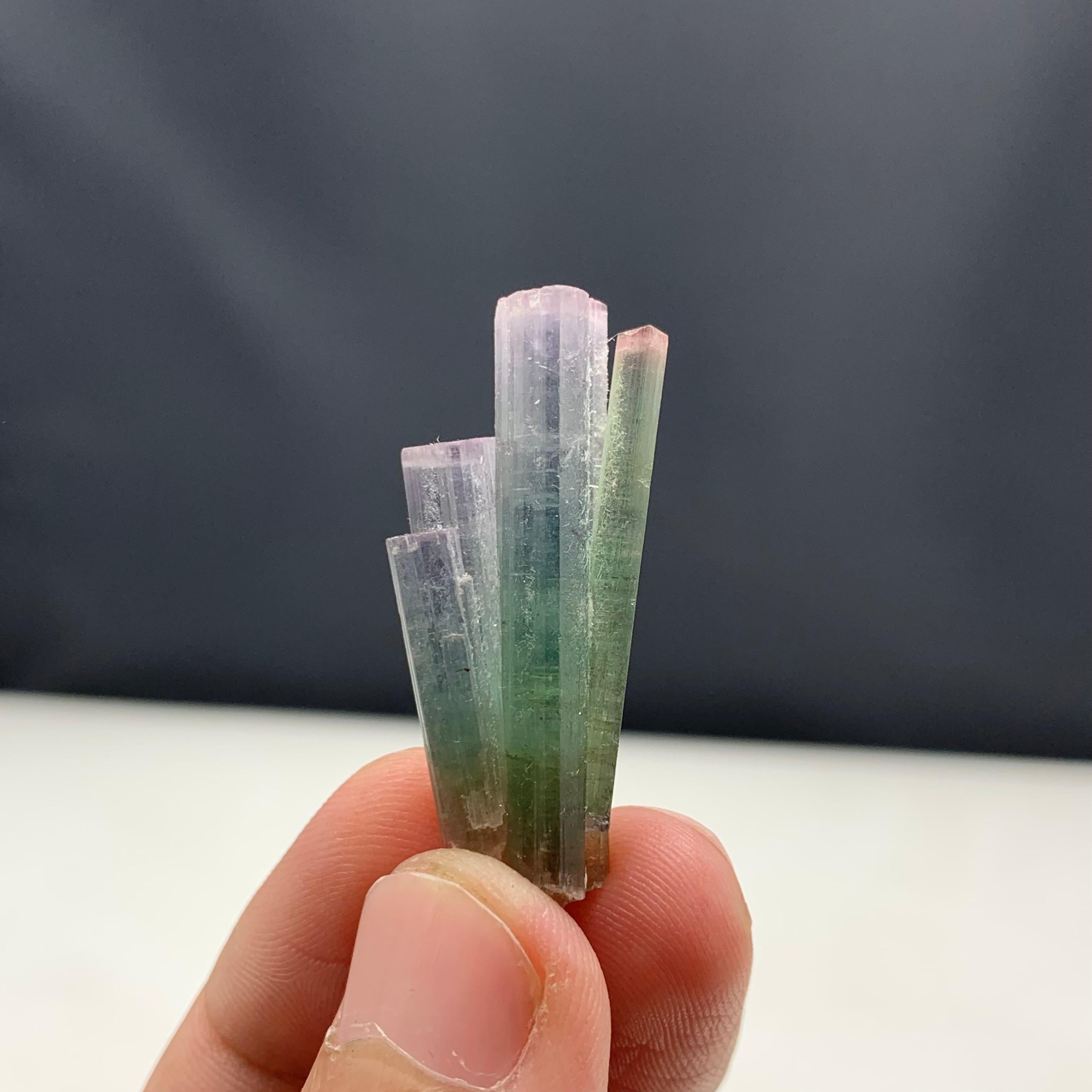 6.82 Gram Pink Cap Tri Color Tourmaline Crystal Bunch From Paprook, Afghanistan  In Good Condition For Sale In Peshawar, PK