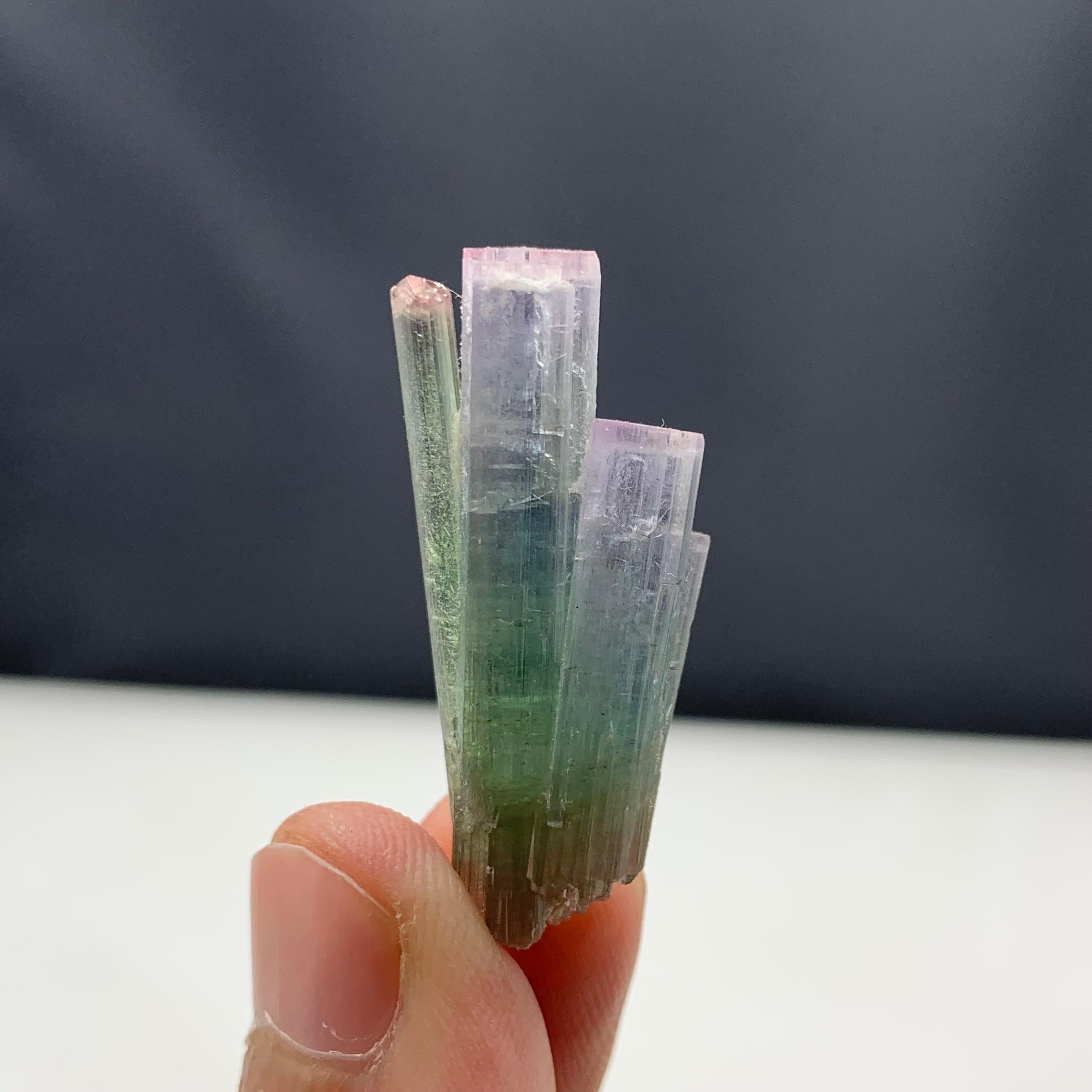 18th Century and Earlier 6.82 Gram Pink Cap Tri Color Tourmaline Crystal Bunch From Paprook, Afghanistan  For Sale