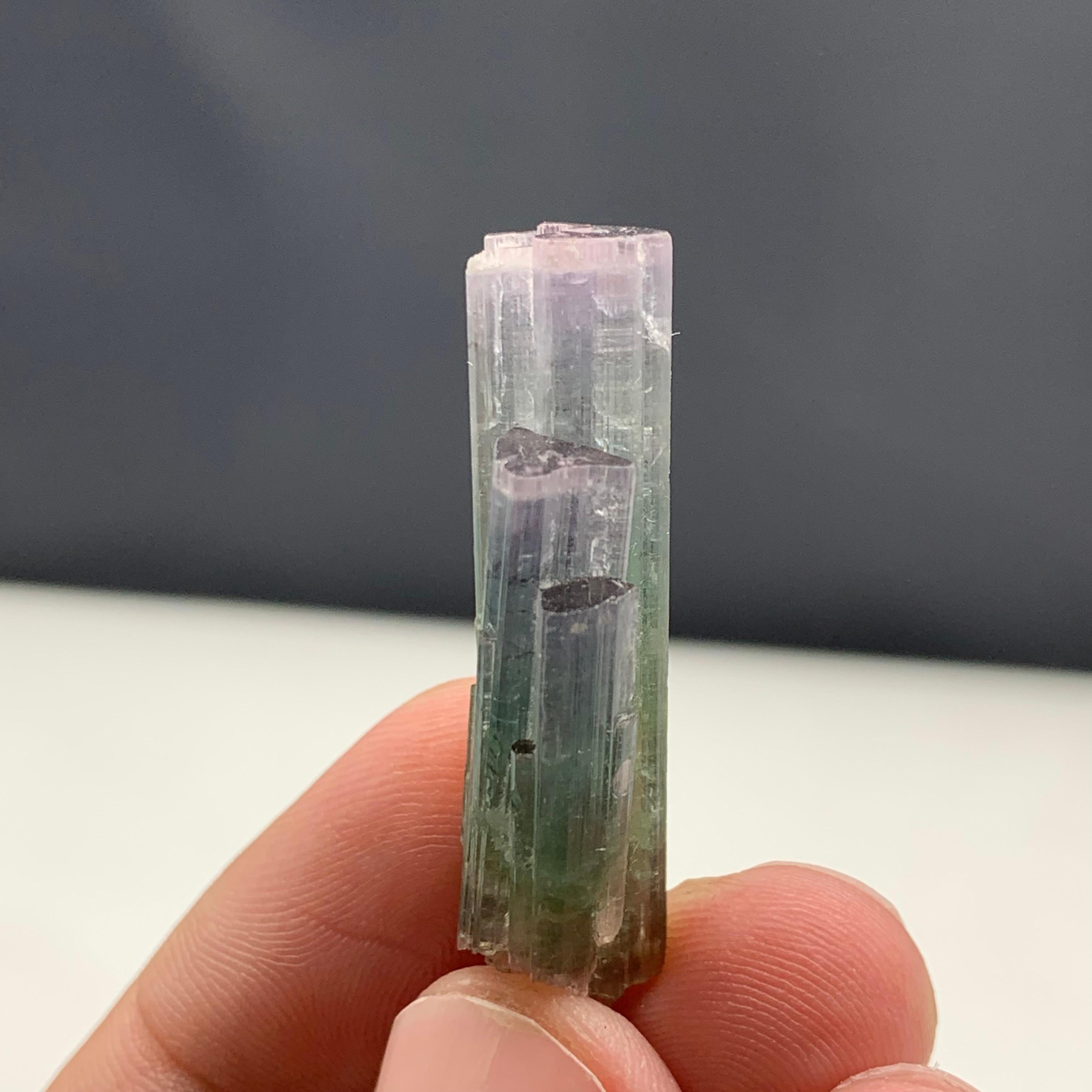 6.82 Gram Pink Cap Tri Color Tourmaline Crystal Bunch From Paprook, Afghanistan  For Sale 1