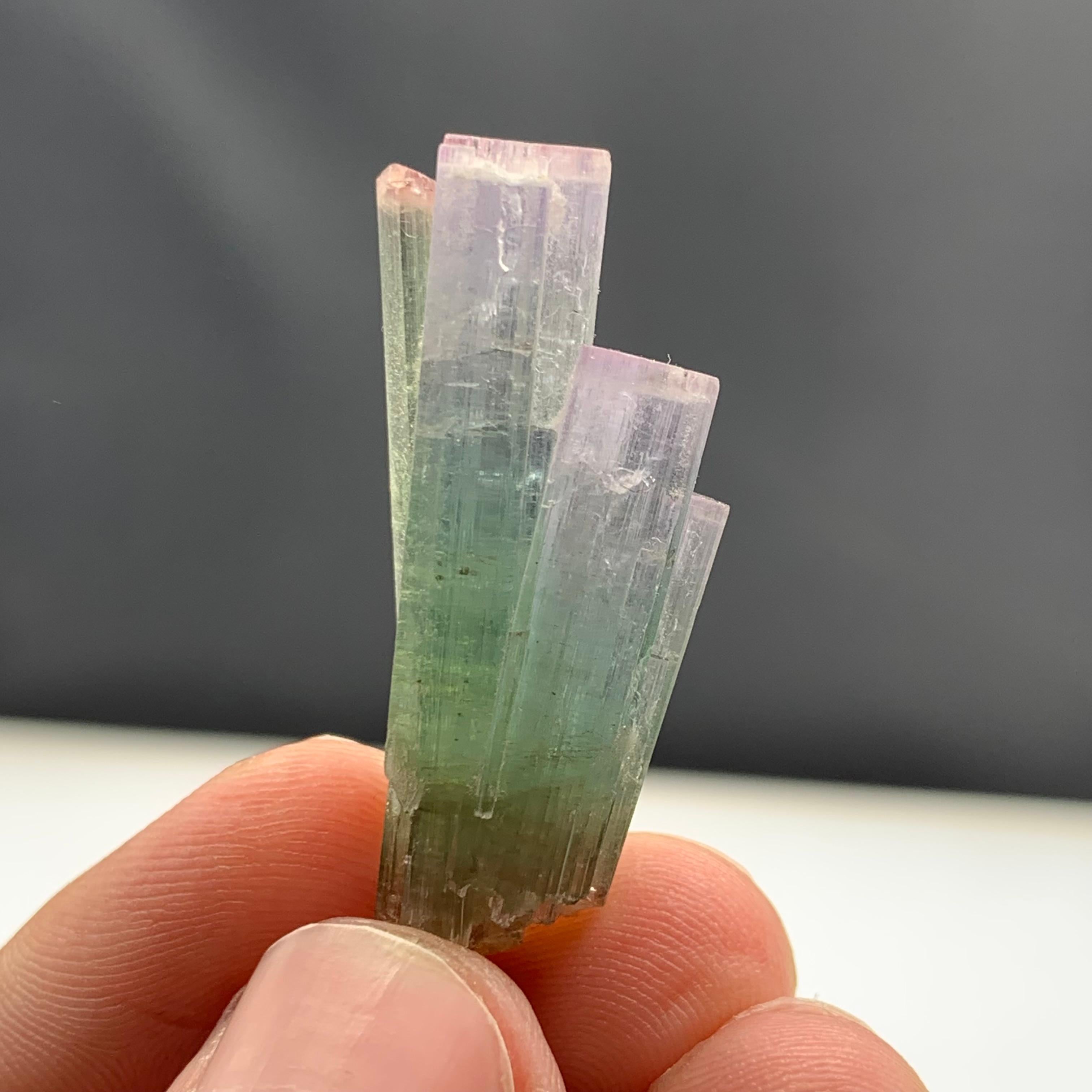 6.82 Gram Pink Cap Tri Color Tourmaline Crystal Bunch From Paprook, Afghanistan  For Sale 2