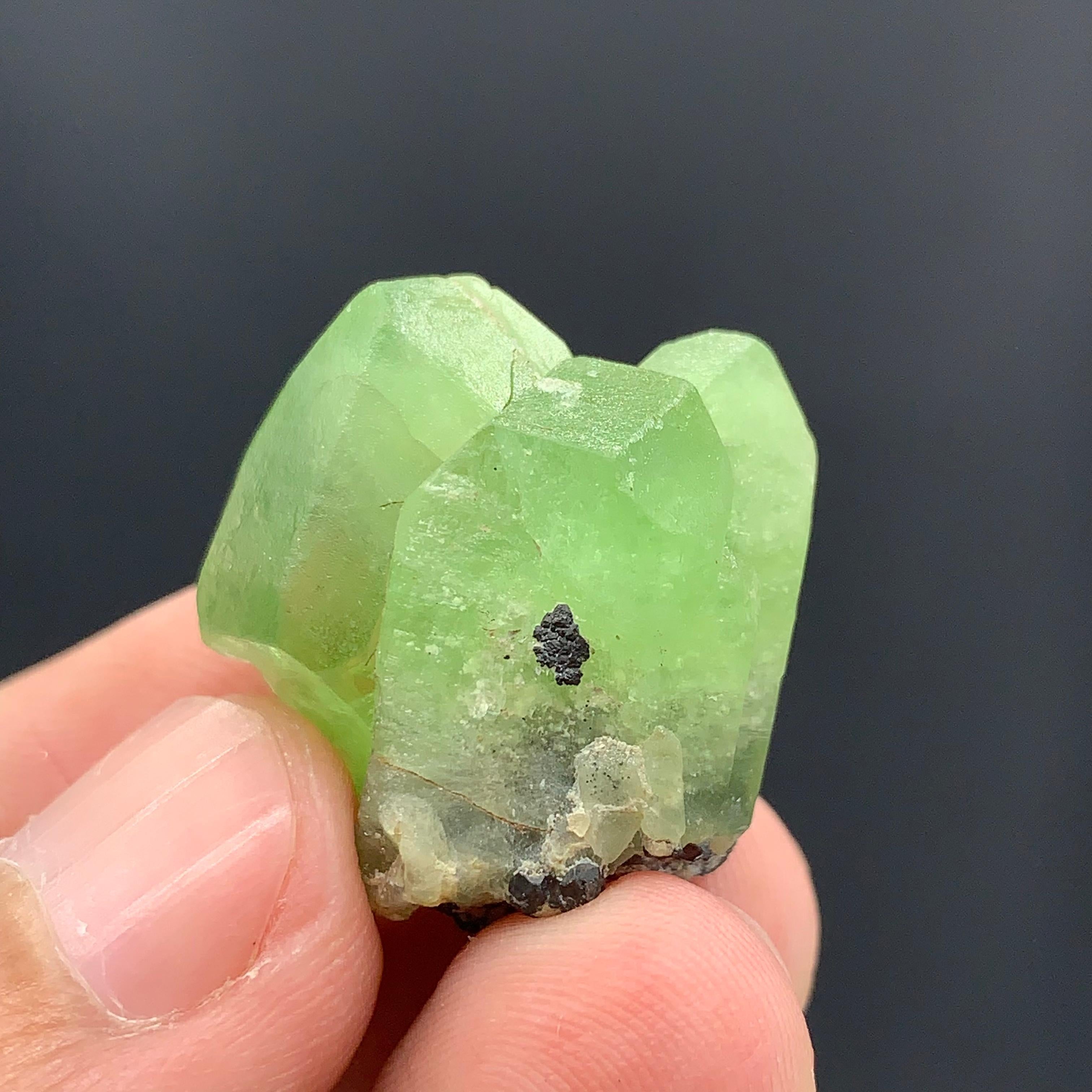 Adorable Peridot Specimen From Mansehra, KPK Province, Pakistan
Weight: 68.60 Carat
Dimension : 2.4 x 2.3 x 1.7 Cm
Origin : Mansehra District, Khyber Pukhtunkhuwa, Pakistan

Peridot is a popular stone for protection against difficulties and