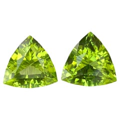 Paire de péridots verts de 6,87 carats, pierre précieuse naturelle pakistanaise de taille trillion