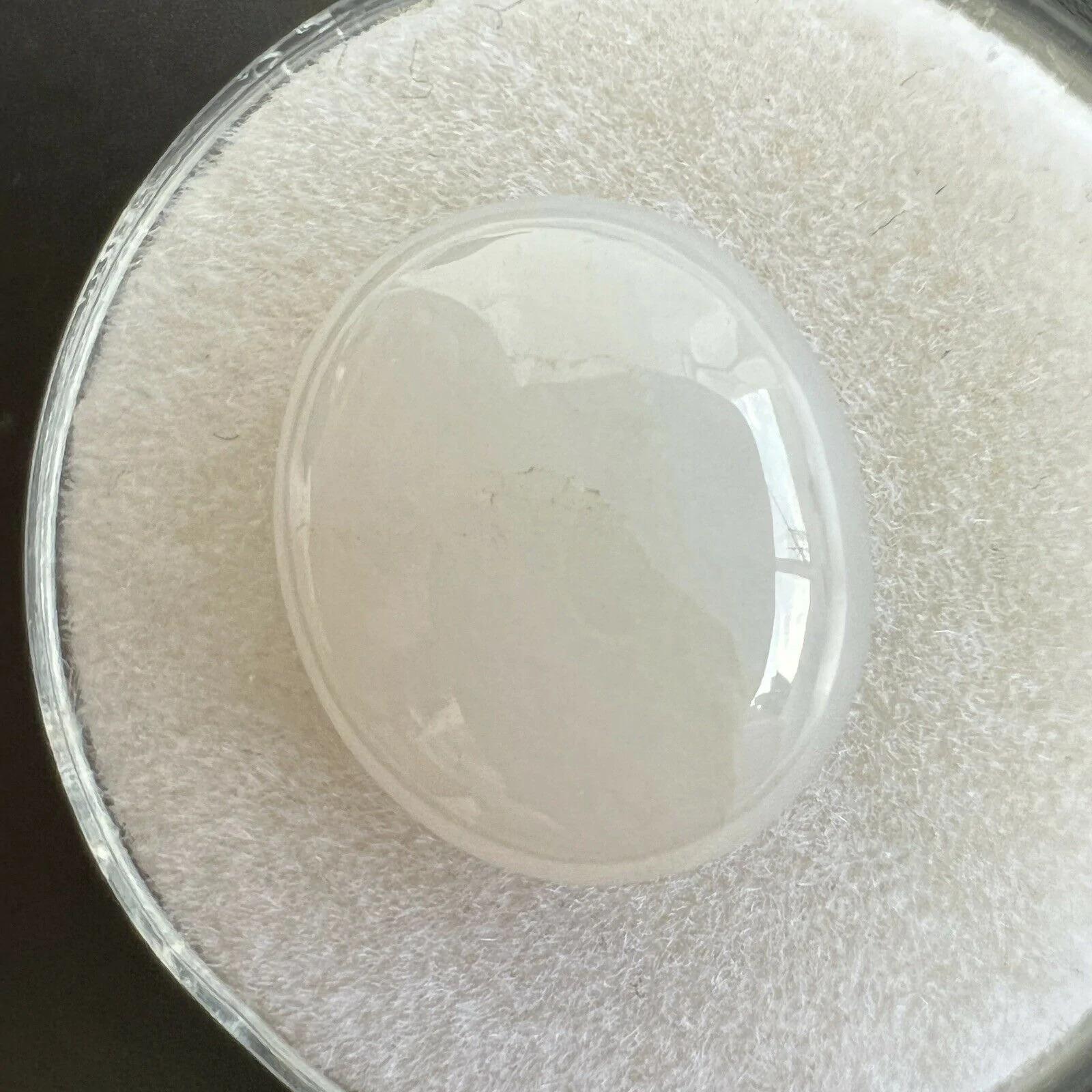6,90 Karat GIA zertifiziert weißer Jadeit Jade A Grade Oval Cabochon unbehandelt im Angebot 1