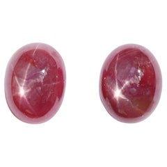 Rubis étoilé non serti de 6,91 carats, pierre précieuse ovale 11,7 x 9,3 mm