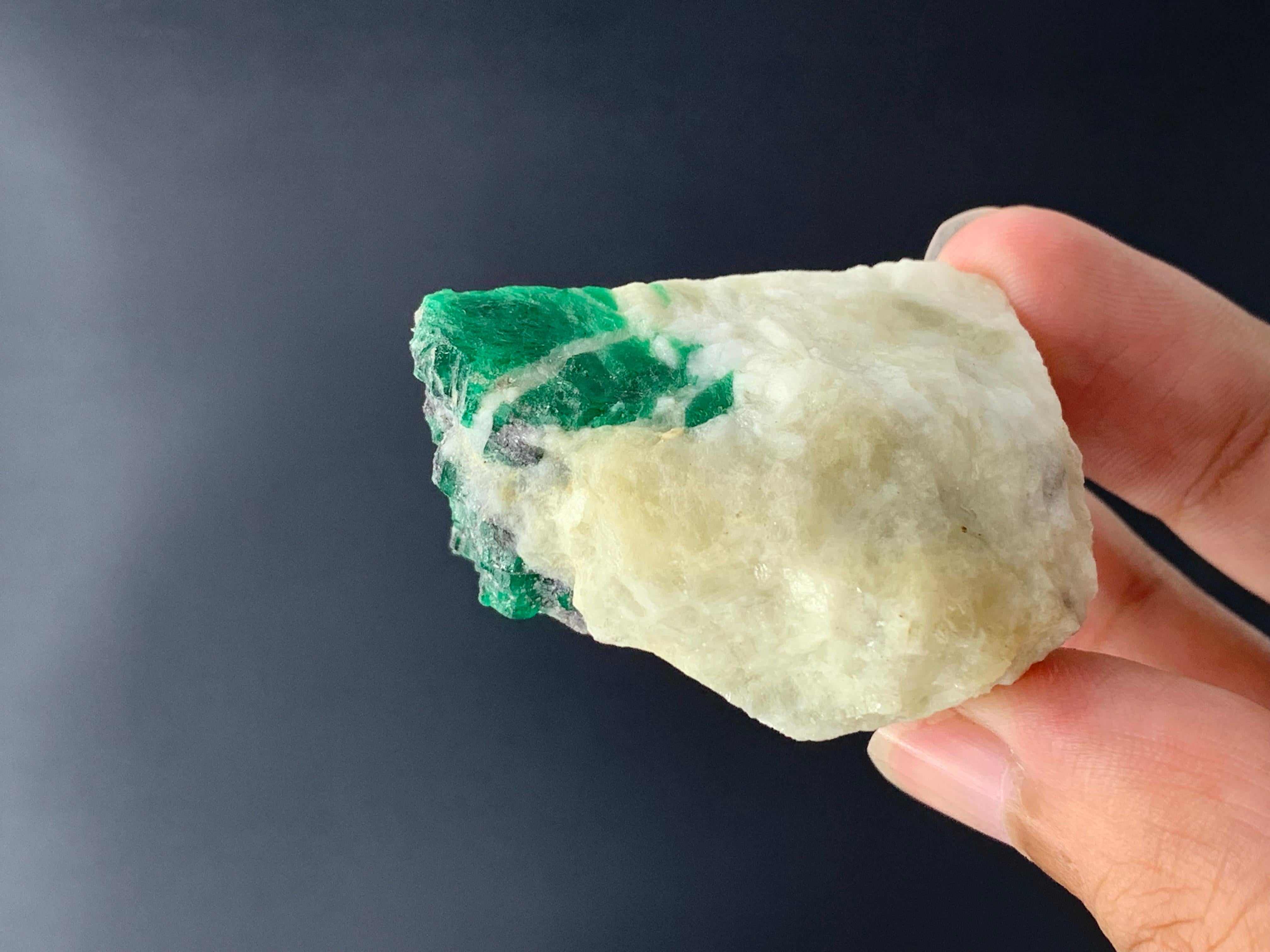 69,19 Gramm schönes Smaragd-Exemplar aus dem Swat-Tal, Pakistan  im Angebot 7