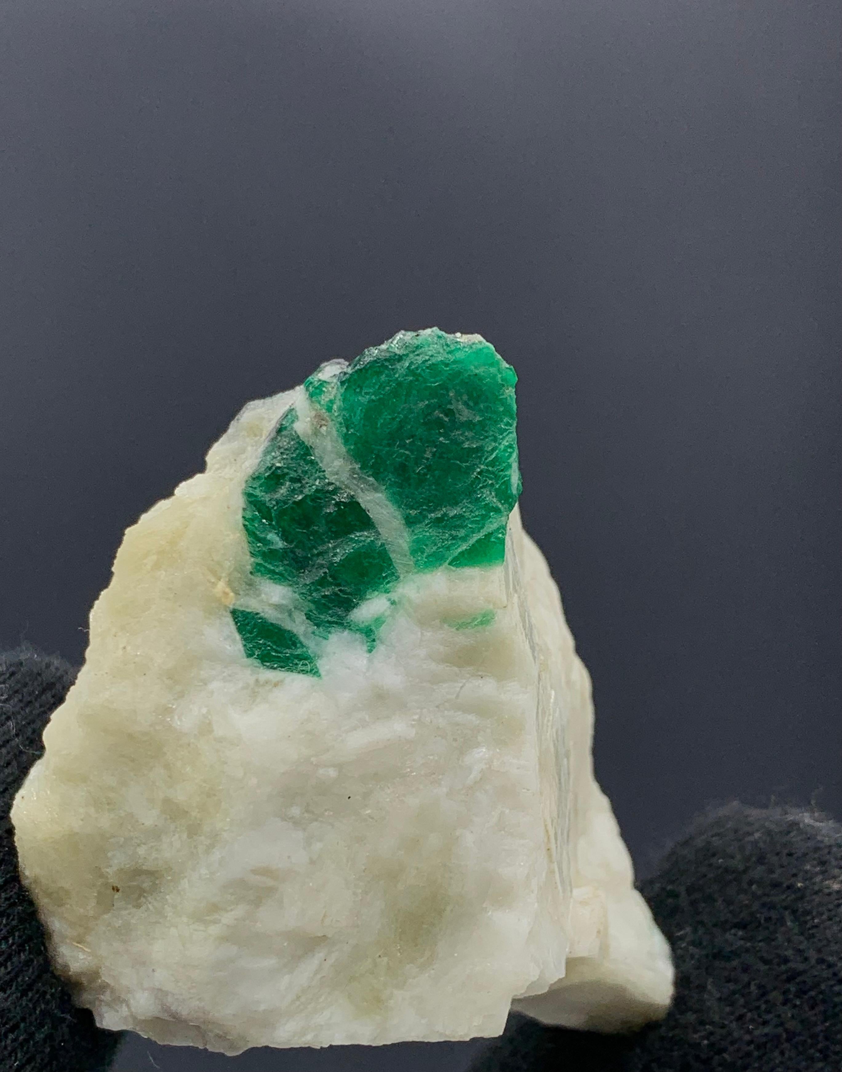 69,19 Gramm schönes Smaragd-Exemplar aus dem Swat-Tal, Pakistan 

Gewicht: 69,19 Gramm 
Abmessungen: 4.7 x 4.1 x 2.8 Cm 
Herkunft: Swat-Tal, Provinz Khyber Pukhtunkhuwa, Pakistan 

Smaragd hat die chemische Zusammensetzung Be3Al2(SiO3)6 und wird als