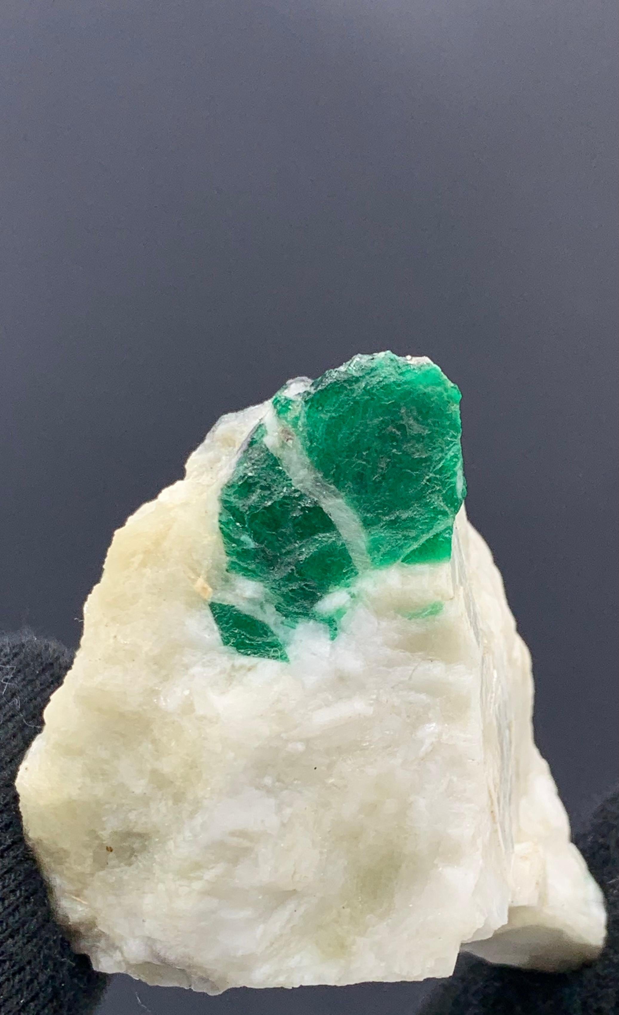 69,19 Gramm schönes Smaragd-Exemplar aus dem Swat-Tal, Pakistan  (Adamstil) im Angebot