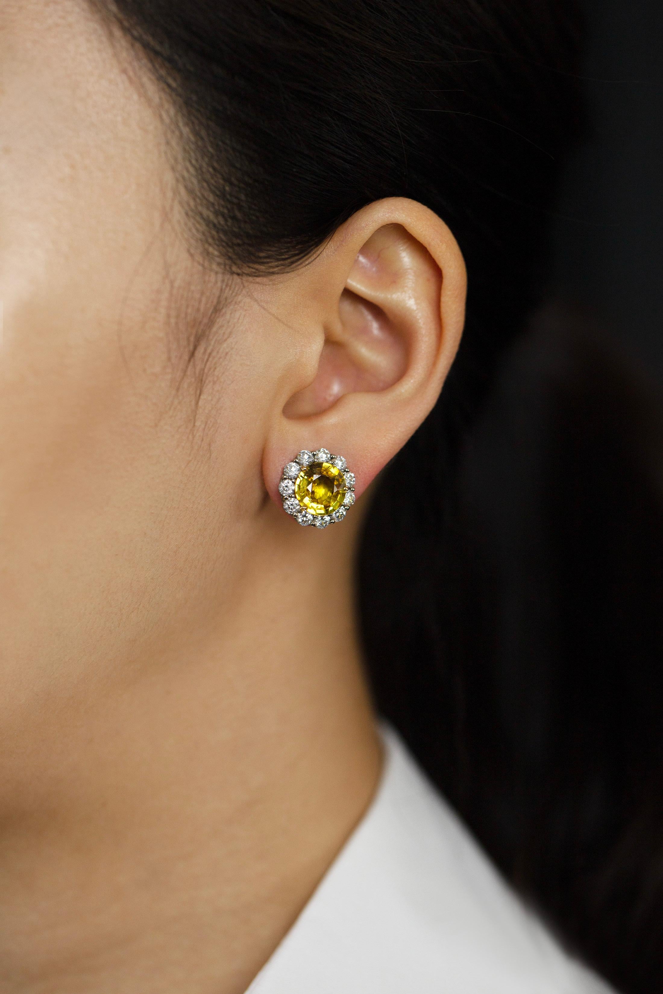 Contemporary 6.94 Carats Total Round Cut Yellow Sapphire and Diamond Halo Stud Earrings For Sale