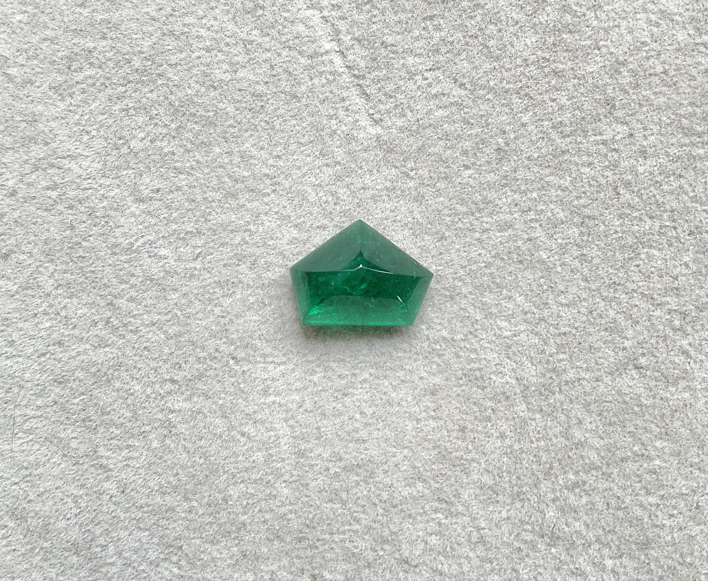 6.97 carats Zambian emerald pentagon cut stone for fine jewelry natural gemstone

Gemstone : Emerald
Weight: 6.97 carats
Size: 10x12 mm
Pieces: 1
Shape: pentagon