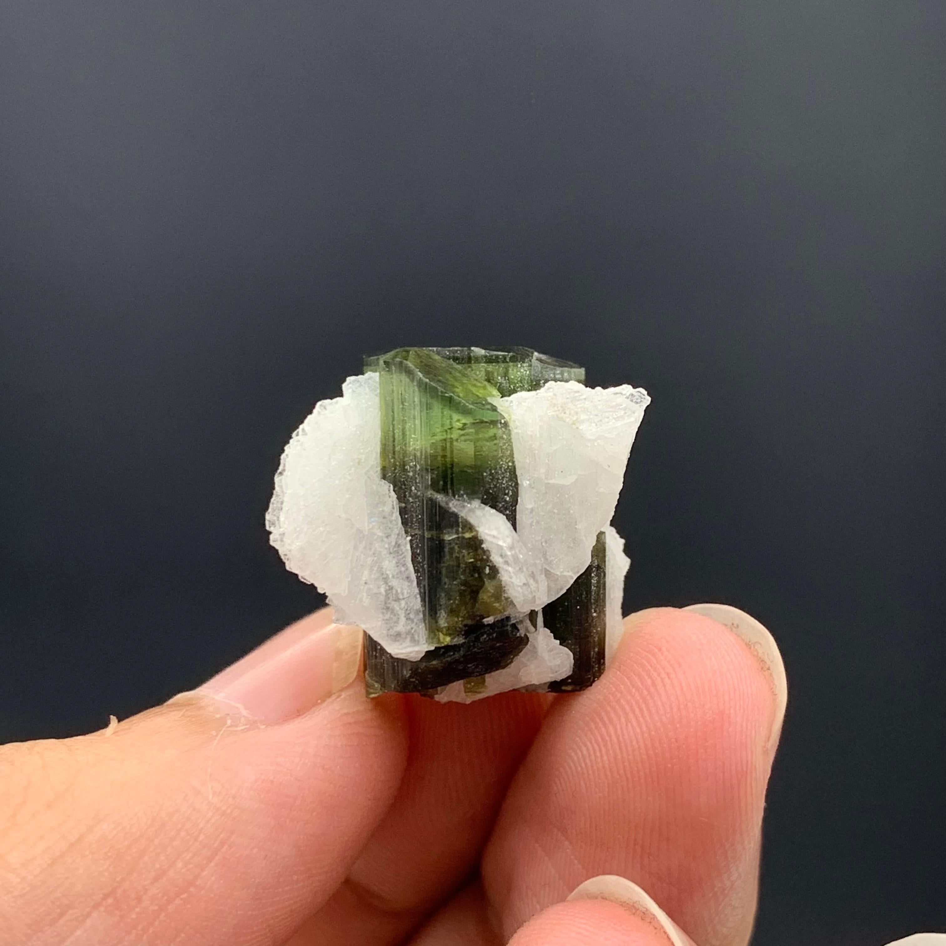 6.97 Gram Pretty Tourmaline Specimen With Albite From Skardu valley , Pakistan For Sale 2