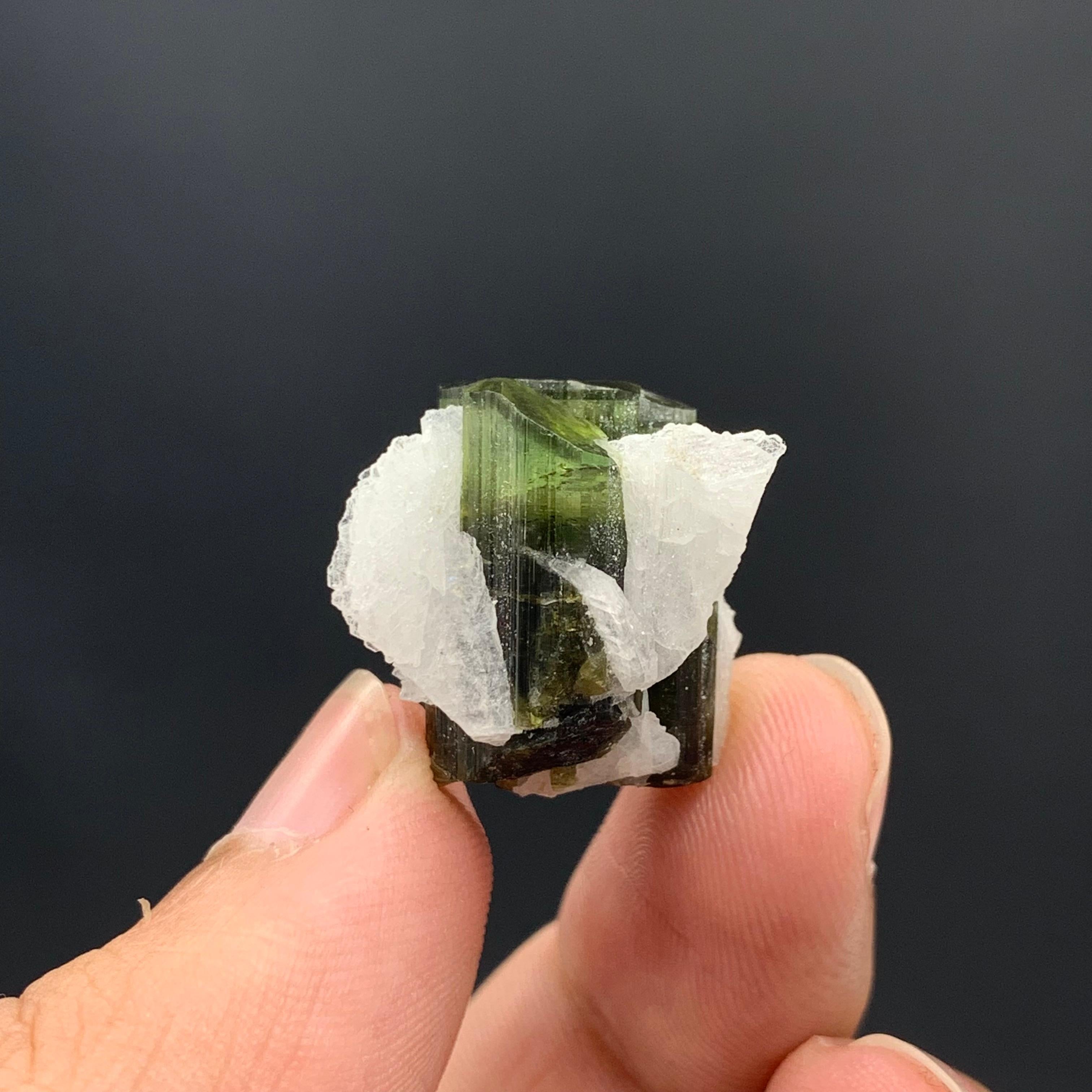 6.97 Gram Pretty Tourmaline Specimen With Albite From Skardu valley , Pakistan For Sale 3