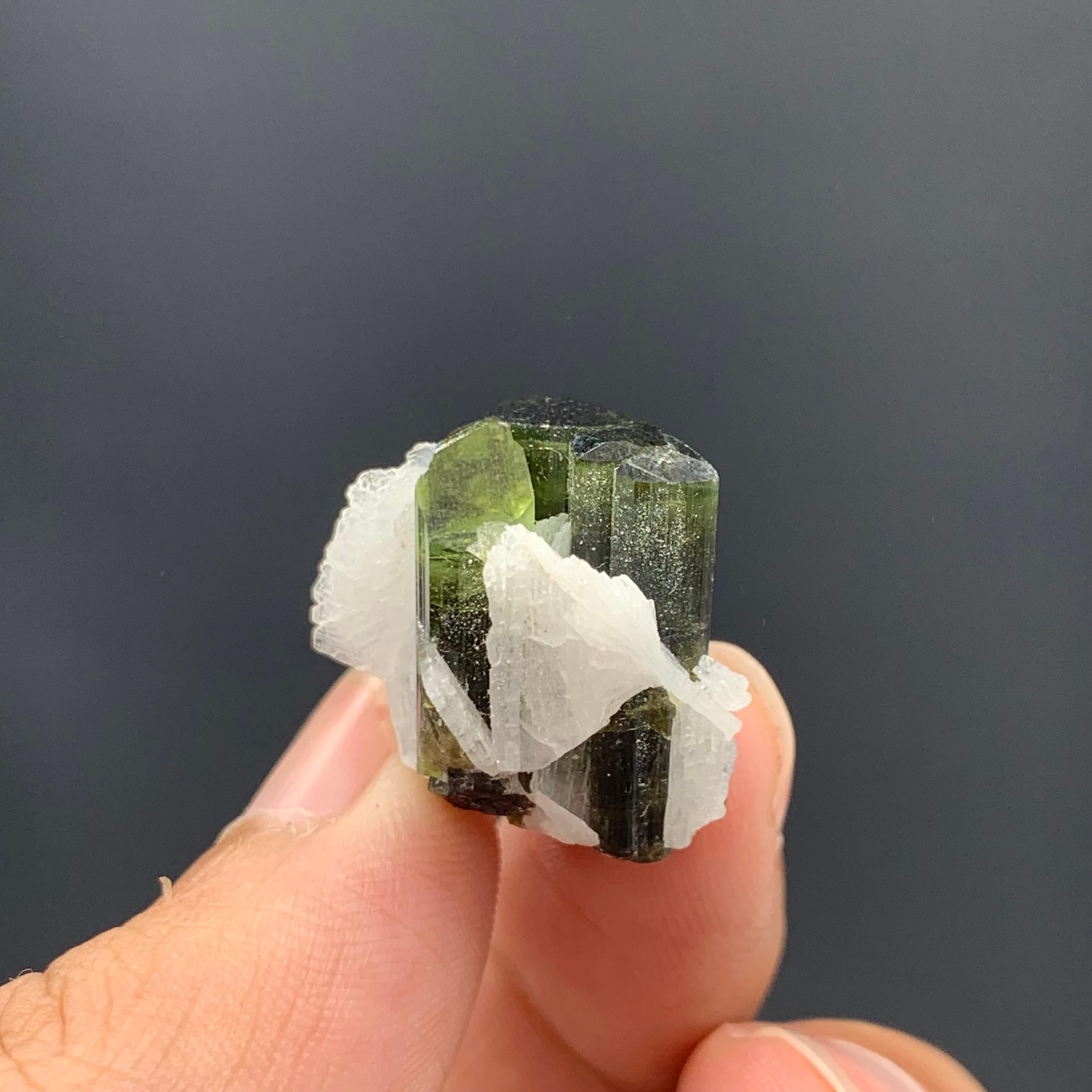 6.97 Gram Pretty Tourmaline Specimen With Albite From Skardu valley , Pakistan For Sale 4