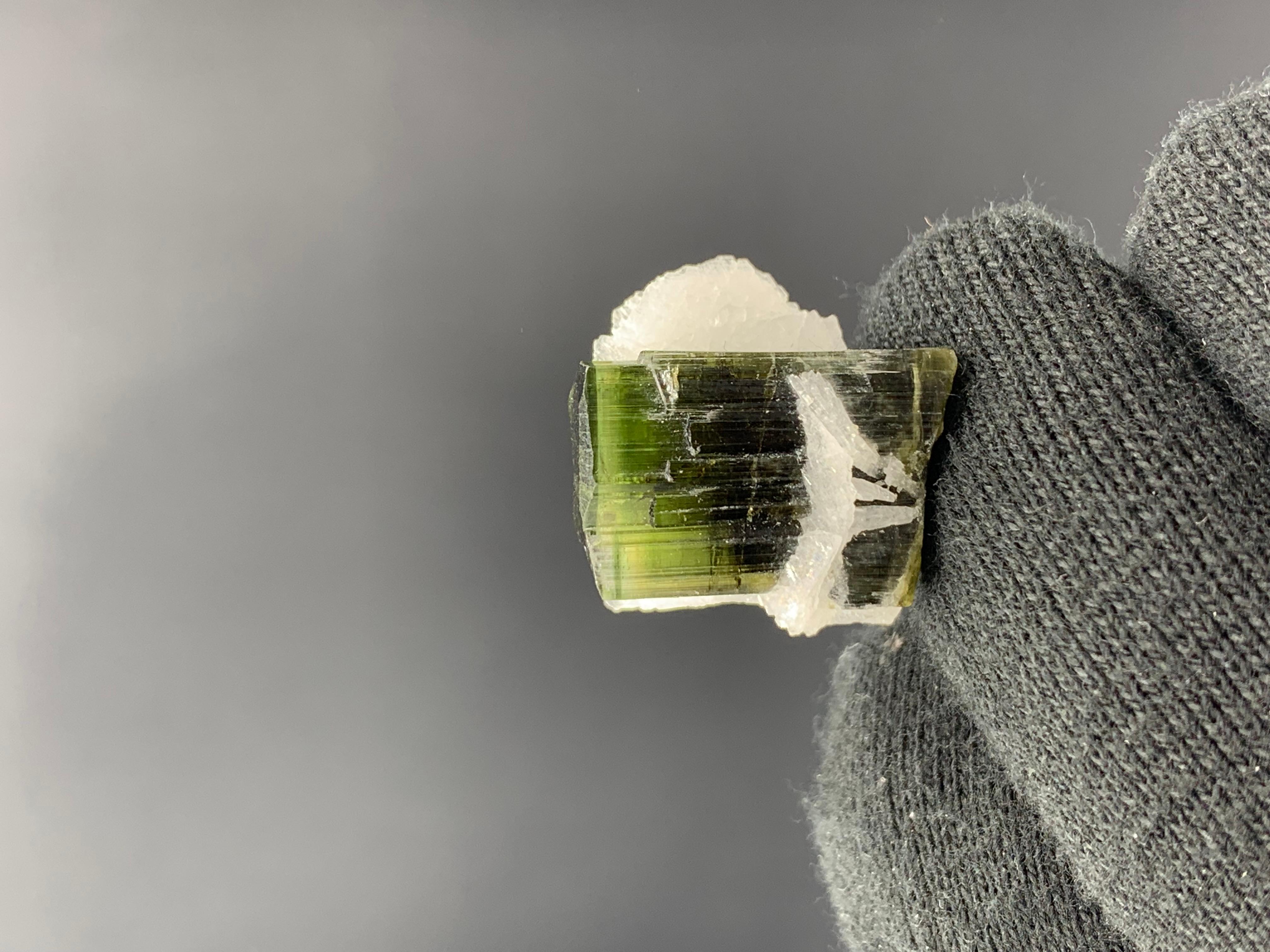 6.97 Gram Pretty Tourmaline Specimen With Albite From Skardu valley , Pakistan 

Weight: 6.97 Gram 
Dimension: 2 x 2.1 x 1.6 cm
Origin: Stak Nala Valley, Skardu District, Gilgit Baltistan Province, Pakistan 

Tourmaline is a crystalline silicate
