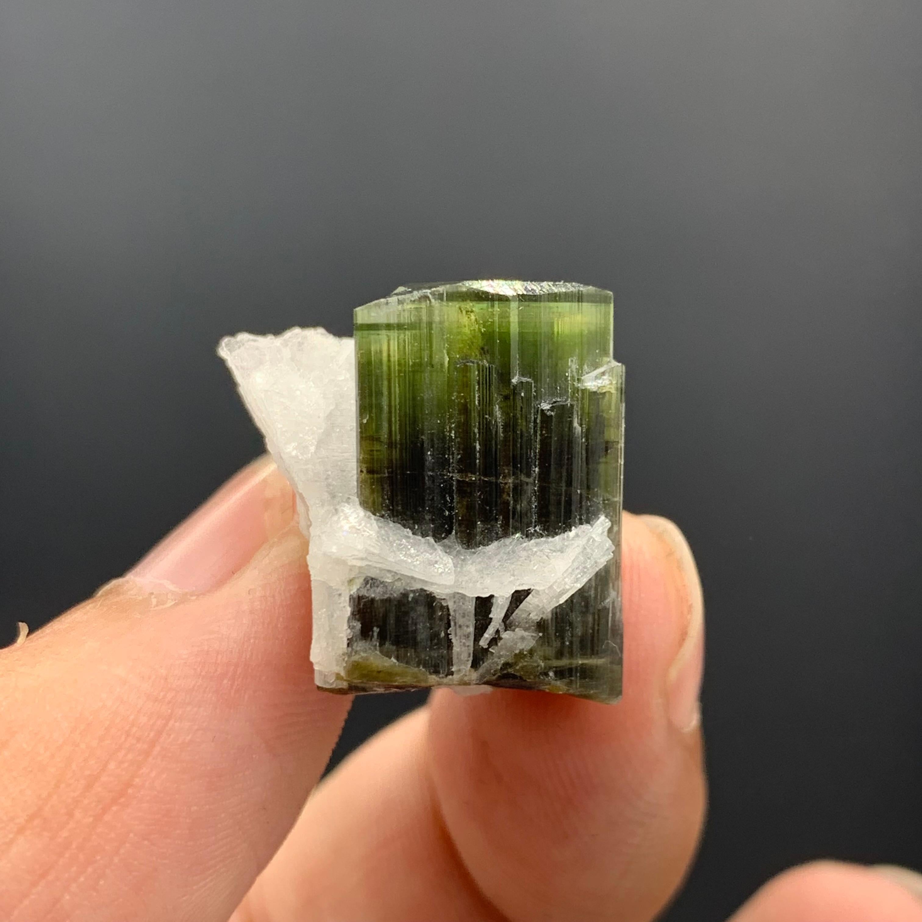 Pakistani 6.97 Gram Pretty Tourmaline Specimen With Albite From Skardu valley , Pakistan For Sale