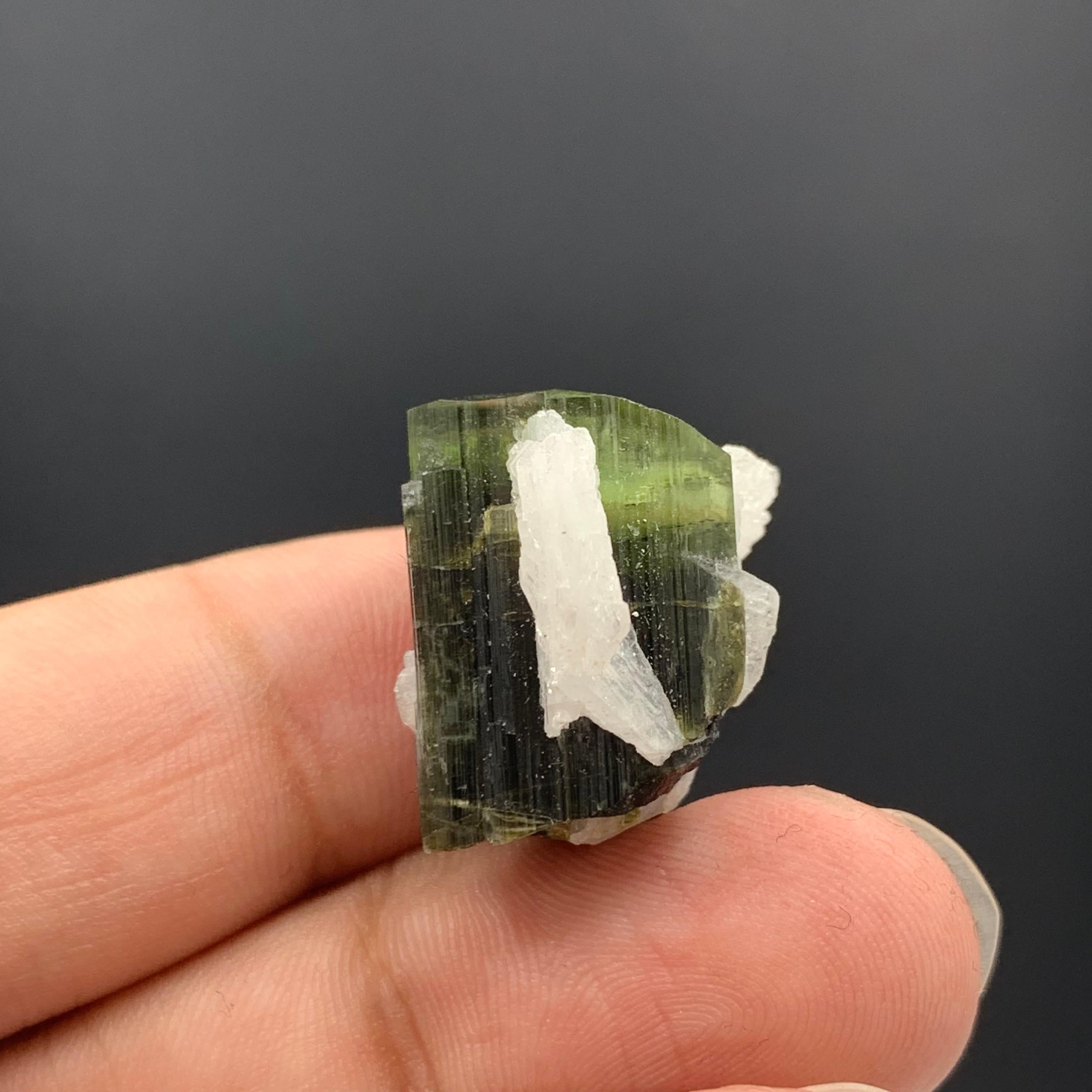 6.97 Gram Pretty Tourmaline Specimen With Albite From Skardu valley , Pakistan In Good Condition For Sale In Peshawar, PK