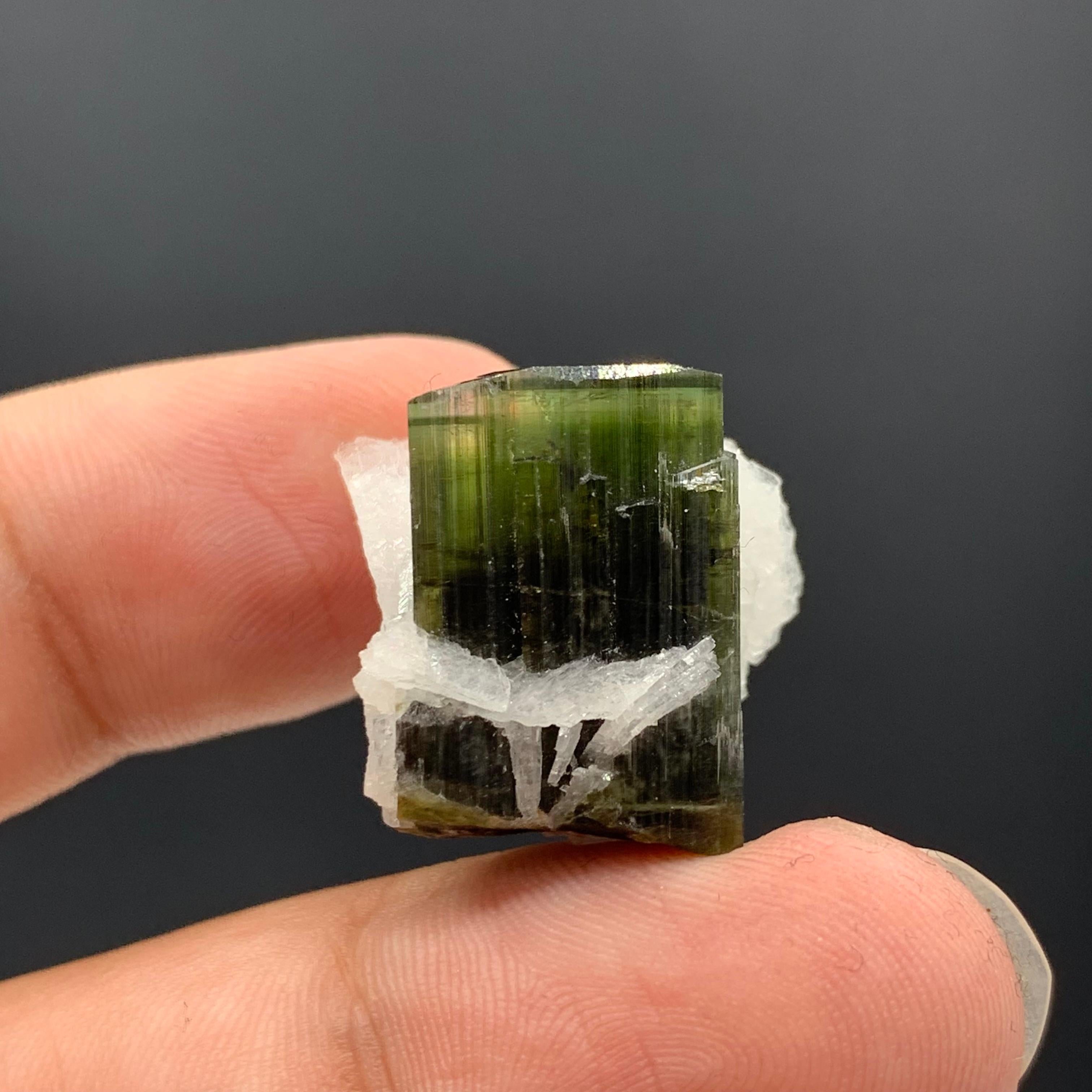 18th Century and Earlier 6.97 Gram Pretty Tourmaline Specimen With Albite From Skardu valley , Pakistan For Sale