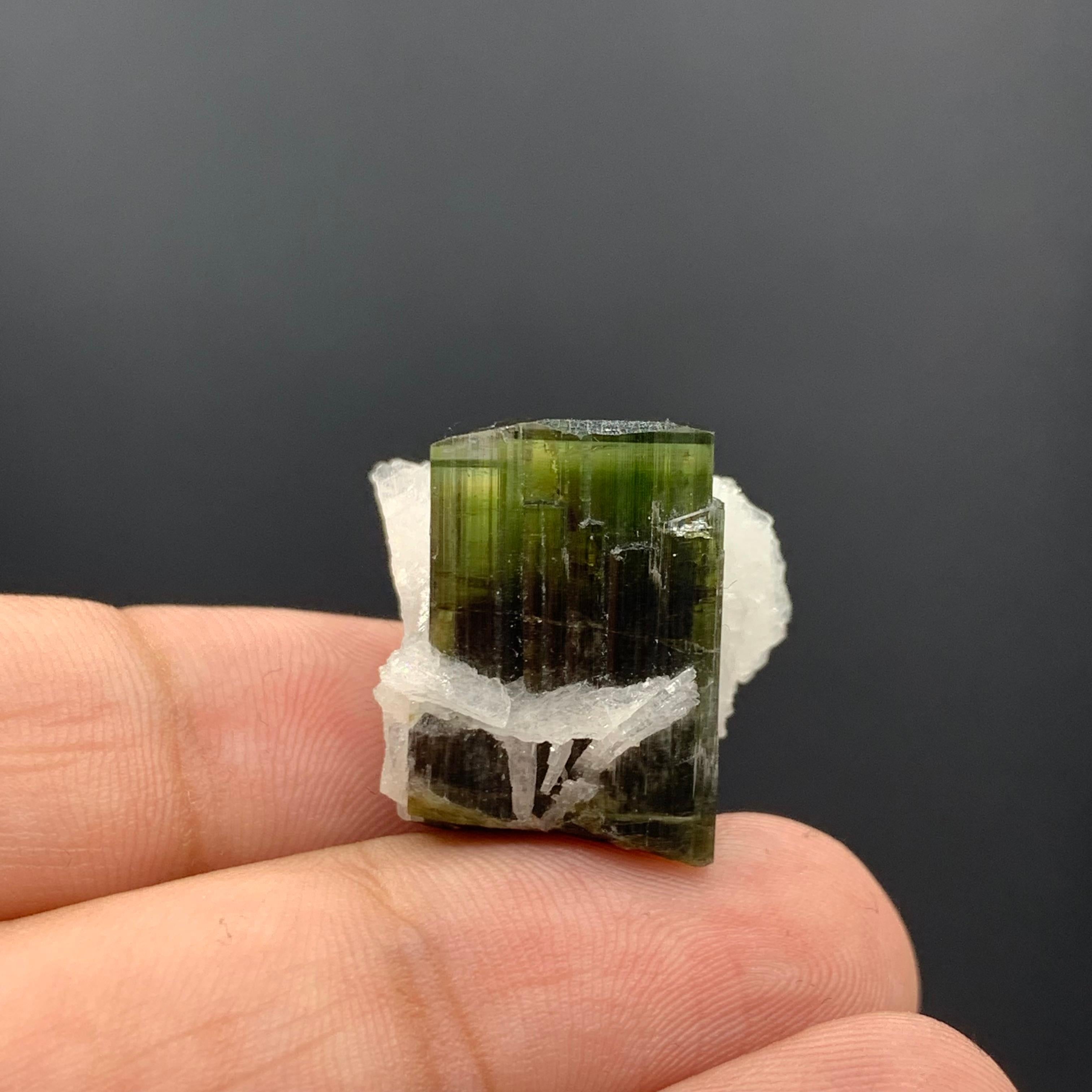Rock Crystal 6.97 Gram Pretty Tourmaline Specimen With Albite From Skardu valley , Pakistan For Sale