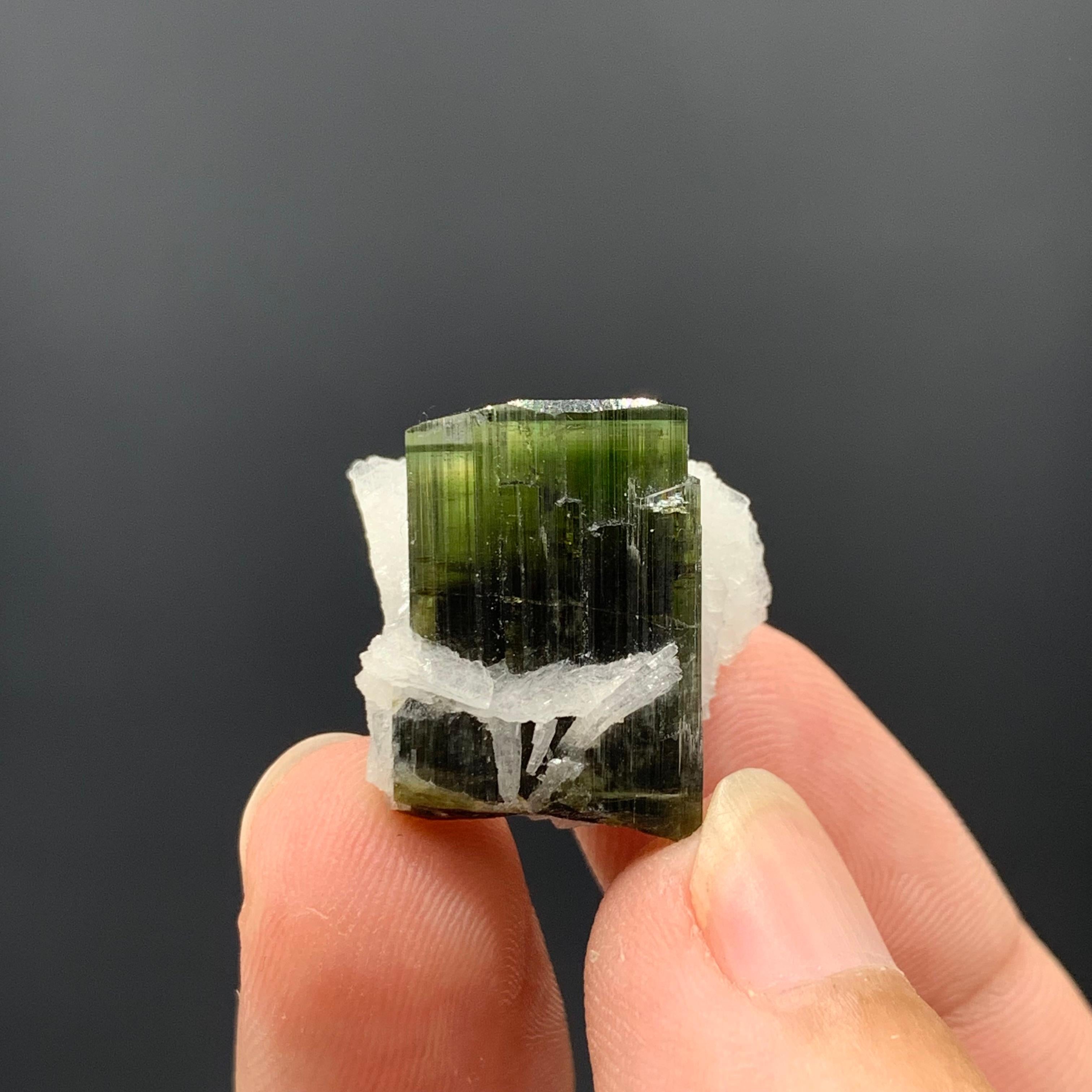 6.97 Gram Pretty Tourmaline Specimen With Albite From Skardu valley , Pakistan For Sale 1
