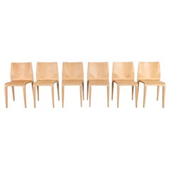 6er Set Laleggera Stühle 301 Alias Ricardo Blumer Stapelstuhl
