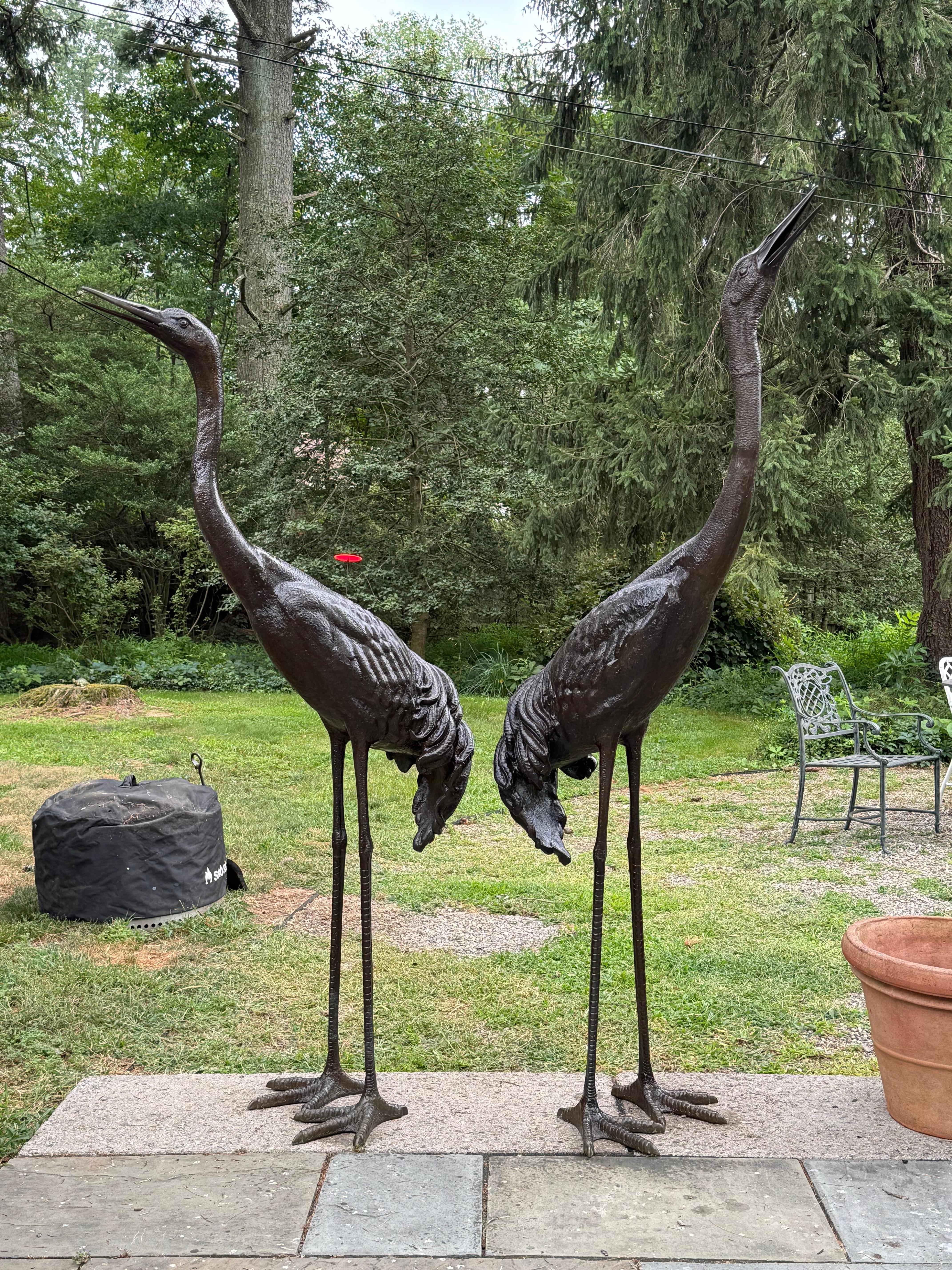 Fine XX secolo Statua di gru in piedi da 6 piedi in bronzo, impressionante per l'ingresso del giardino, una coppia in vendita