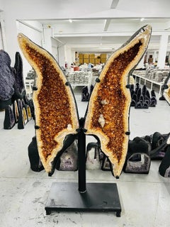 6ft Tall! Citrine BUTTERFLY/ ANGEL WINGS Natural Crystal Geode Pair****
