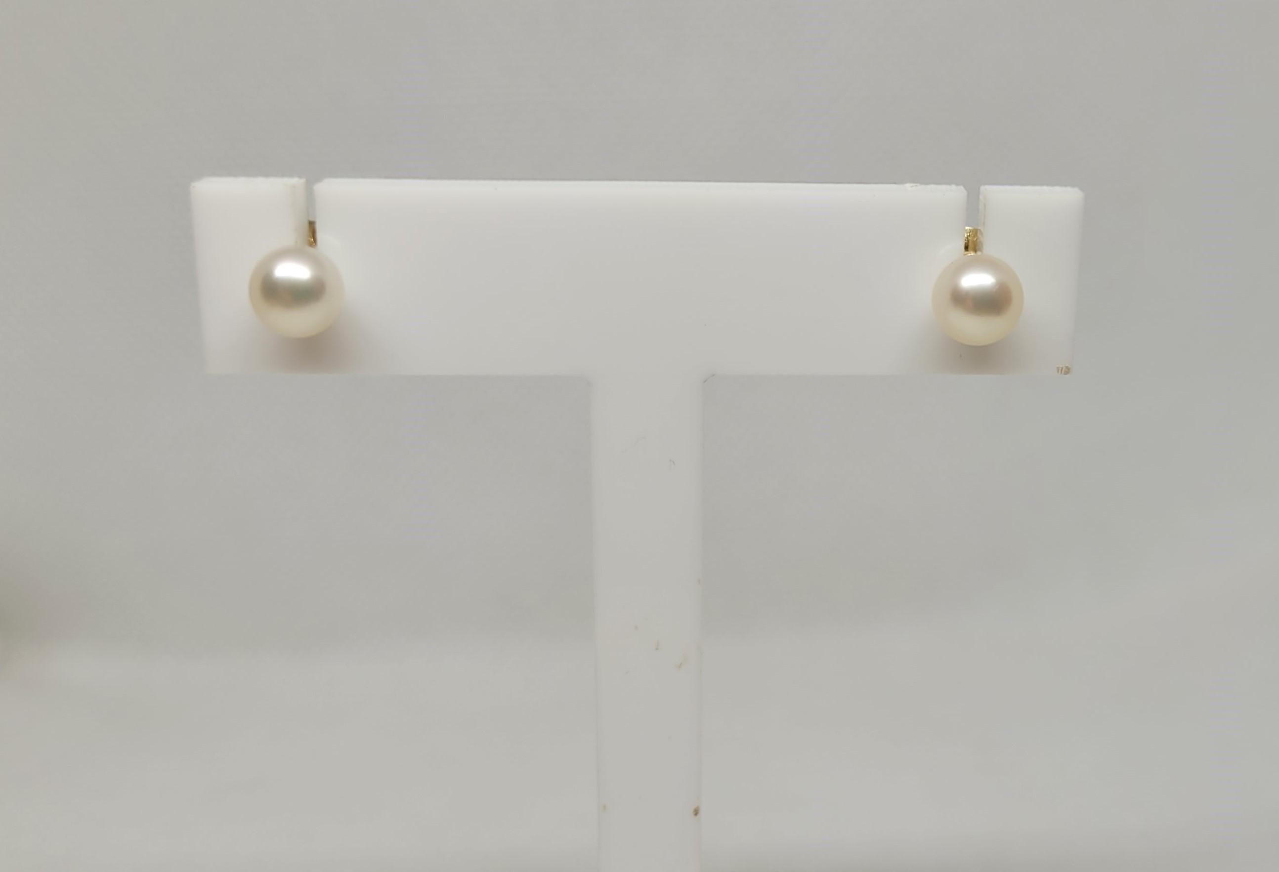 Modern 6mm Round White Cultured Akoya Pearl Studs, Mikimoto, 14kt Yellow Friction Post