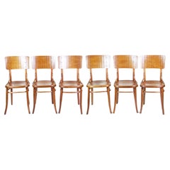 6x Thonet chairs Nr. 157