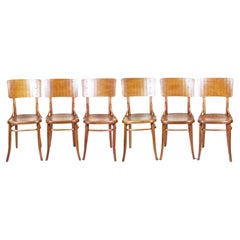 6x Sillas Thonet nº 157