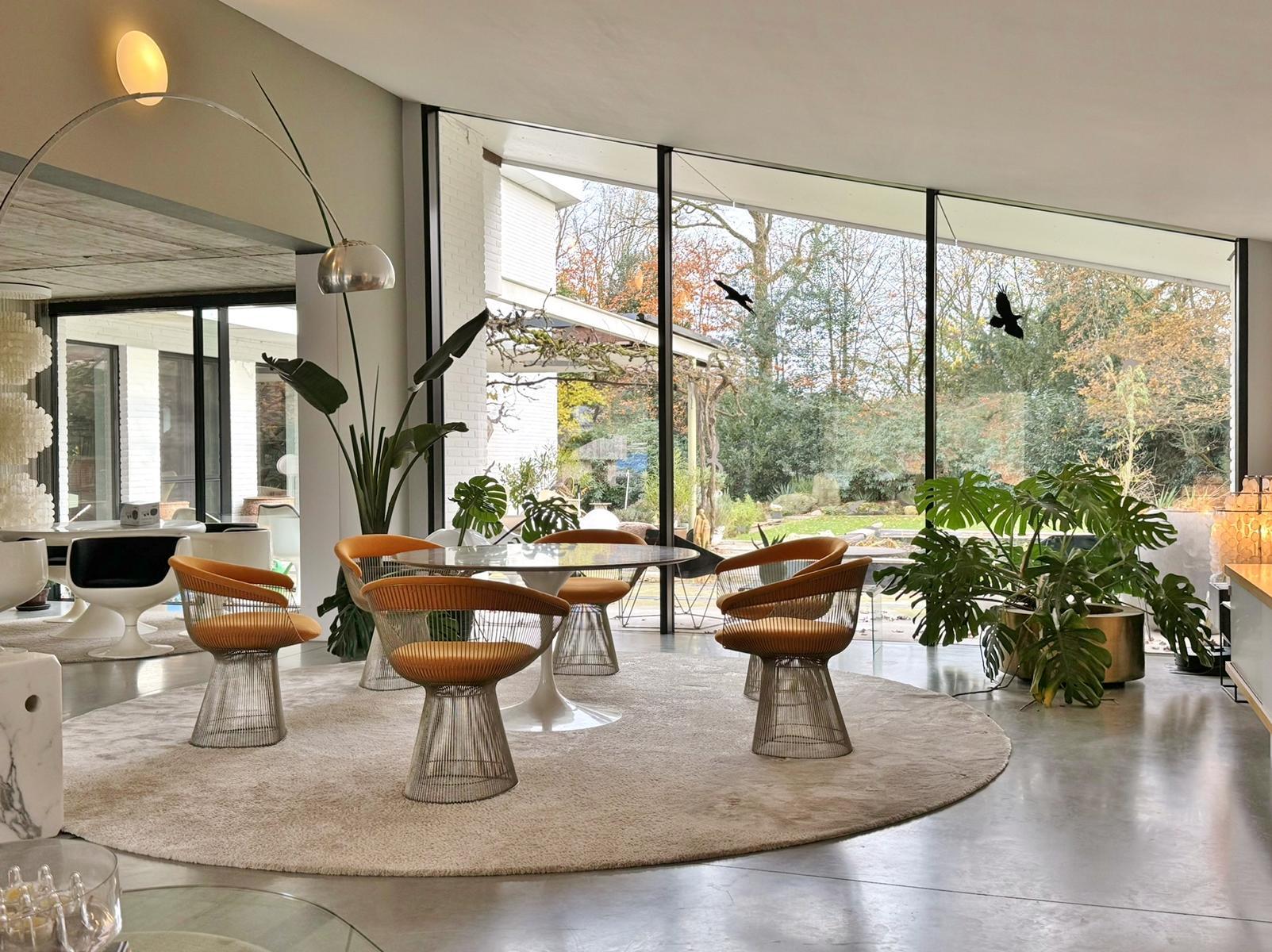 6x Warren Platner Arm Chairs – Knoll International – Nickel-Plated – Hallingdal (Moderne der Mitte des Jahrhunderts) im Angebot