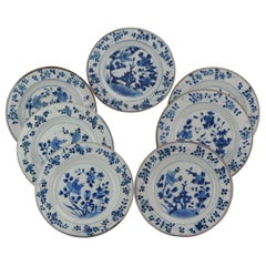 #7 Antique Chinese Porcelain 18th Century Kangxi Period Blue White Dinner Plates