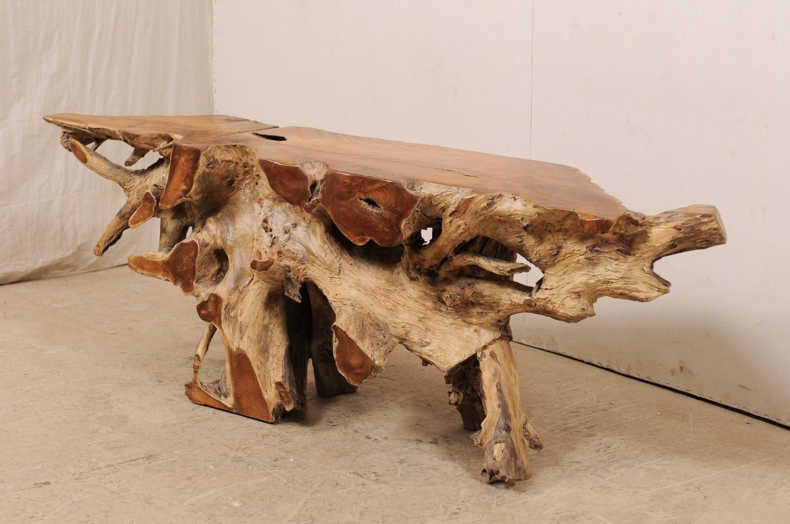7 Ft. Long Natural Teak Root Console Table, Beautiful Organic Shape! 4
