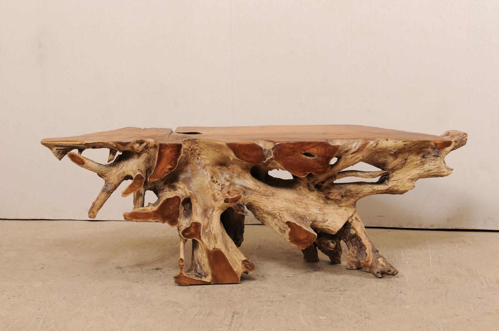 A long natural teak root console table. This polished wood console table has been custom fashioned from a large cut section of old teak (with the addition of a few newer pieces for added stability) whose intertwining roots give it an organic and