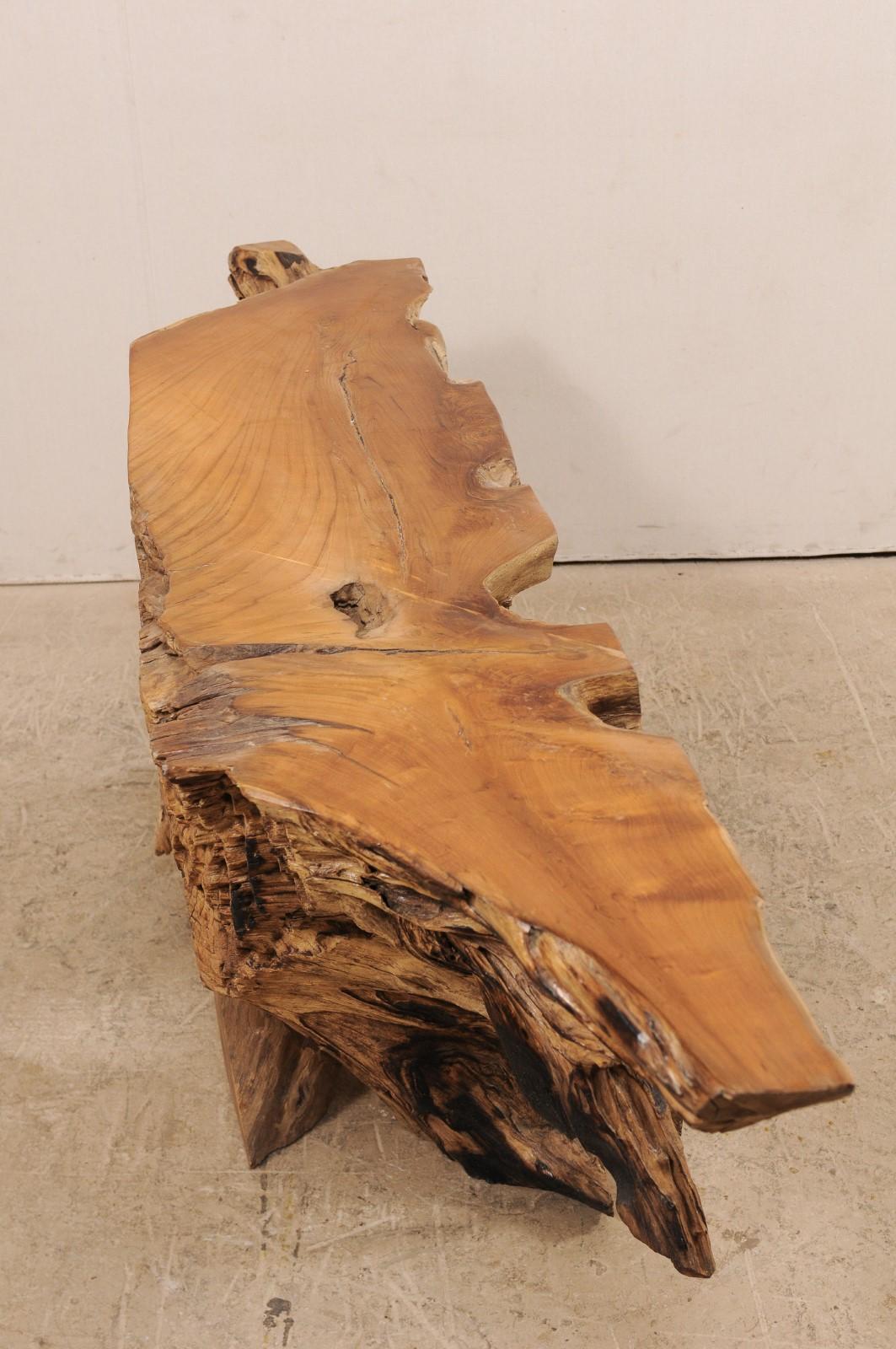 Contemporary 7 Ft. Long Natural Teak Root Console Table, Beautiful Organic Shape!