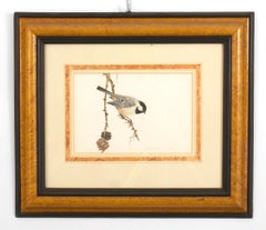 7 Framed Late 19th Century English Victorian Bird Watercolors