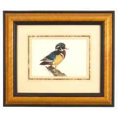 7 Framed Late 19th Century English Victorian Bird Watercolors