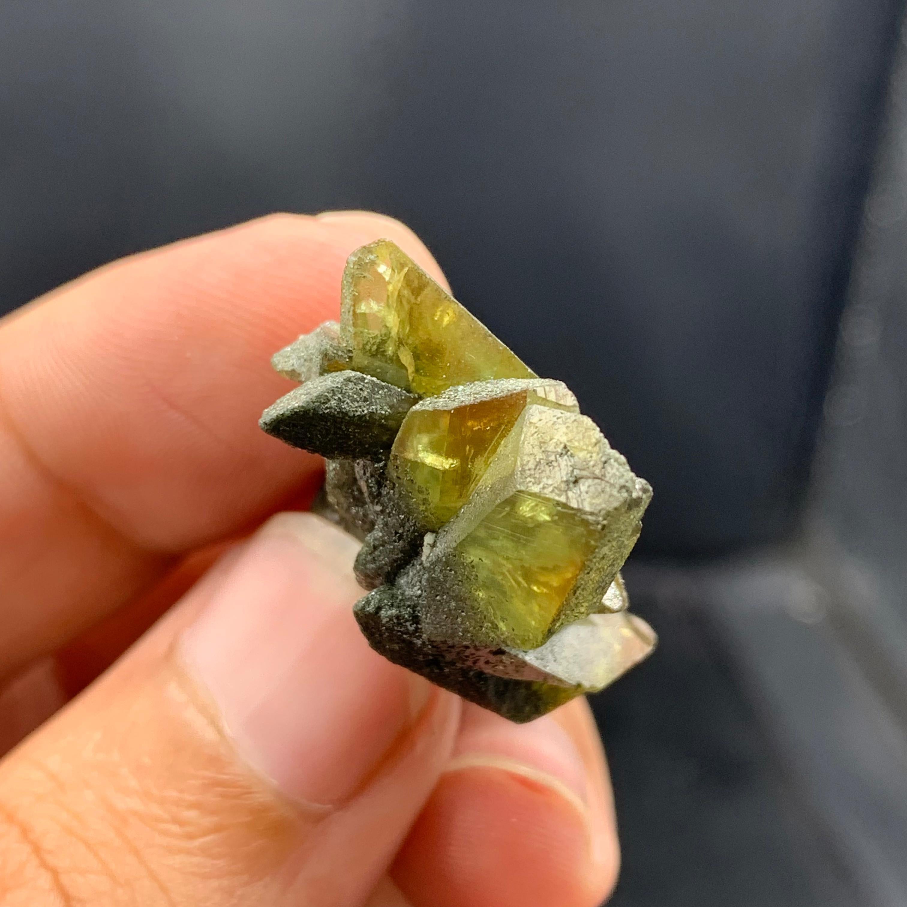 PRODUCT INFORMATION: 

Specimen Type: Gorgeous Sphene Crystals Cluster
Weight: 7 grams
Dimension: 2.6 x 2.1 x 1.5 cm
Origin: Skardu District, Gilgit Baltistan, Pakistan
Treatment: None

DESCRIPTION: 

7 Grams Gorgeous Sphene Crystals Cluster is for