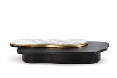 7 pulg. Mesa Baja Monumental Larga de Roble con Tableros Estratificados de Latón y Mármol