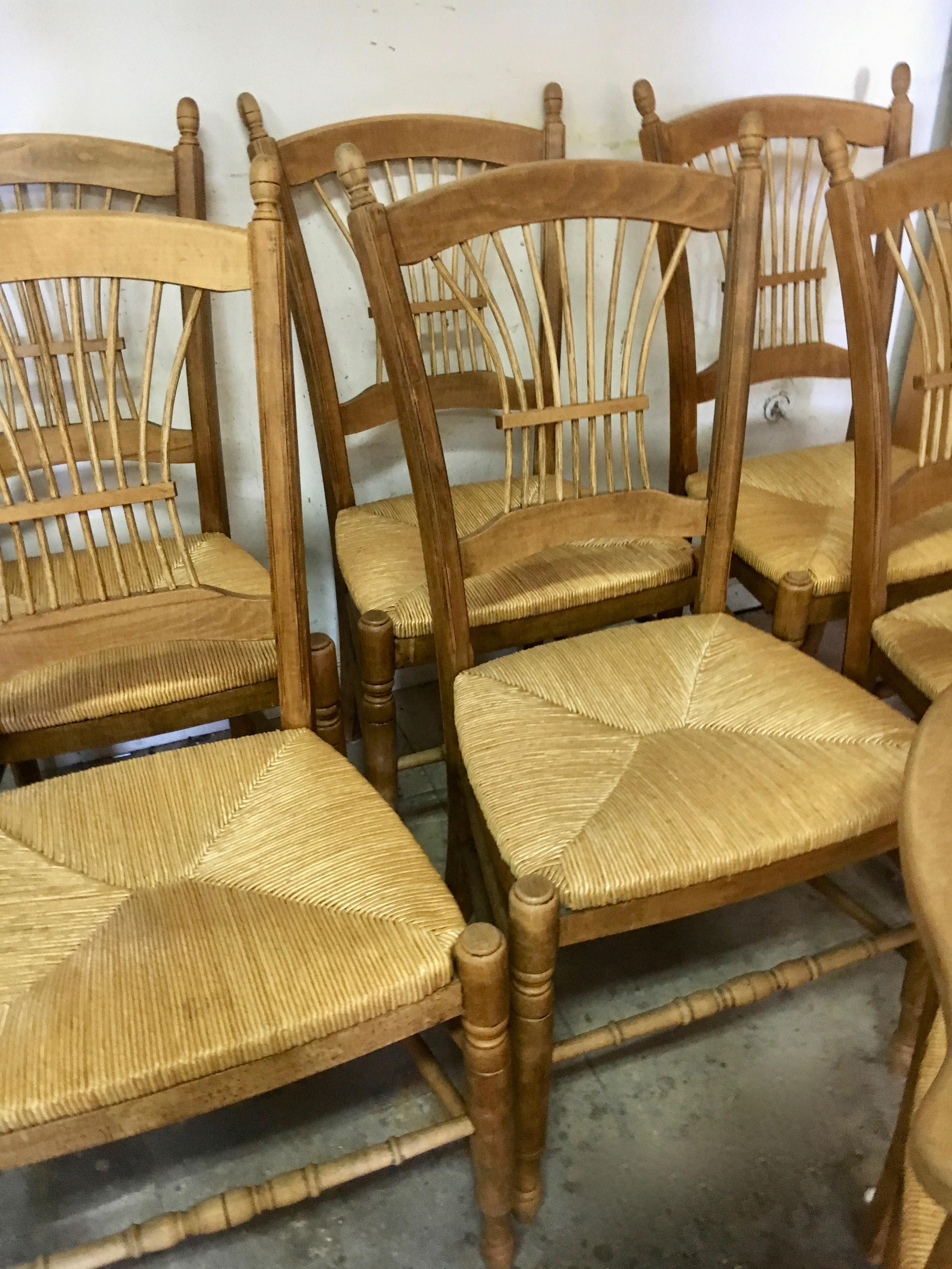 7 Italian maple chairs with rush seats - one chair has arms (arms are 27