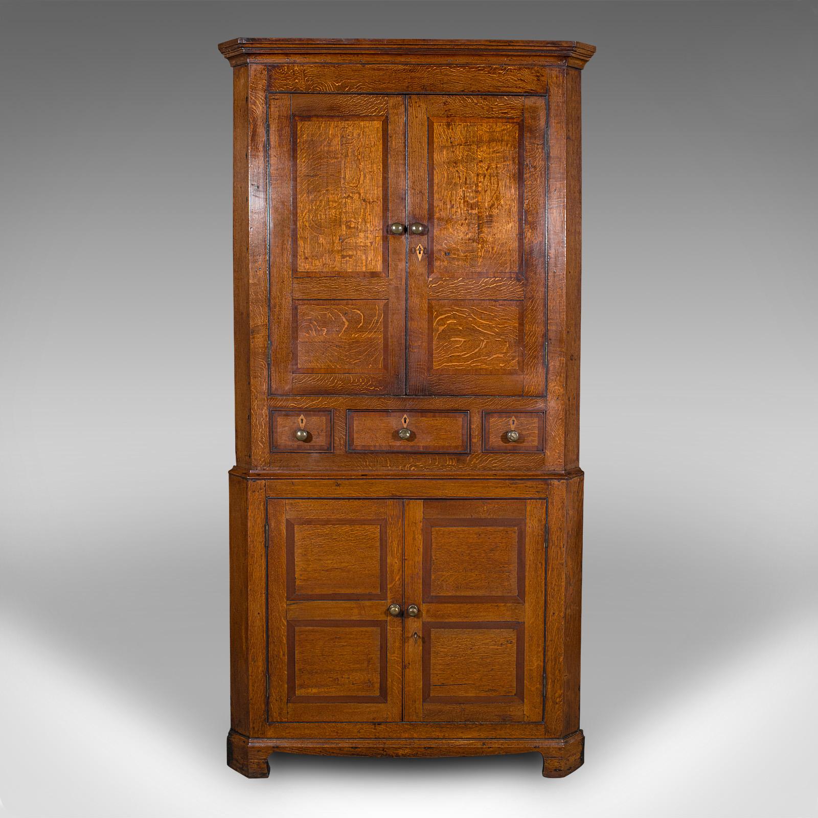 7' Tall Antique Country Manor Corner Cabinet, Scottish Oak, Cupboard, Georgian In Good Condition In Hele, Devon, GB