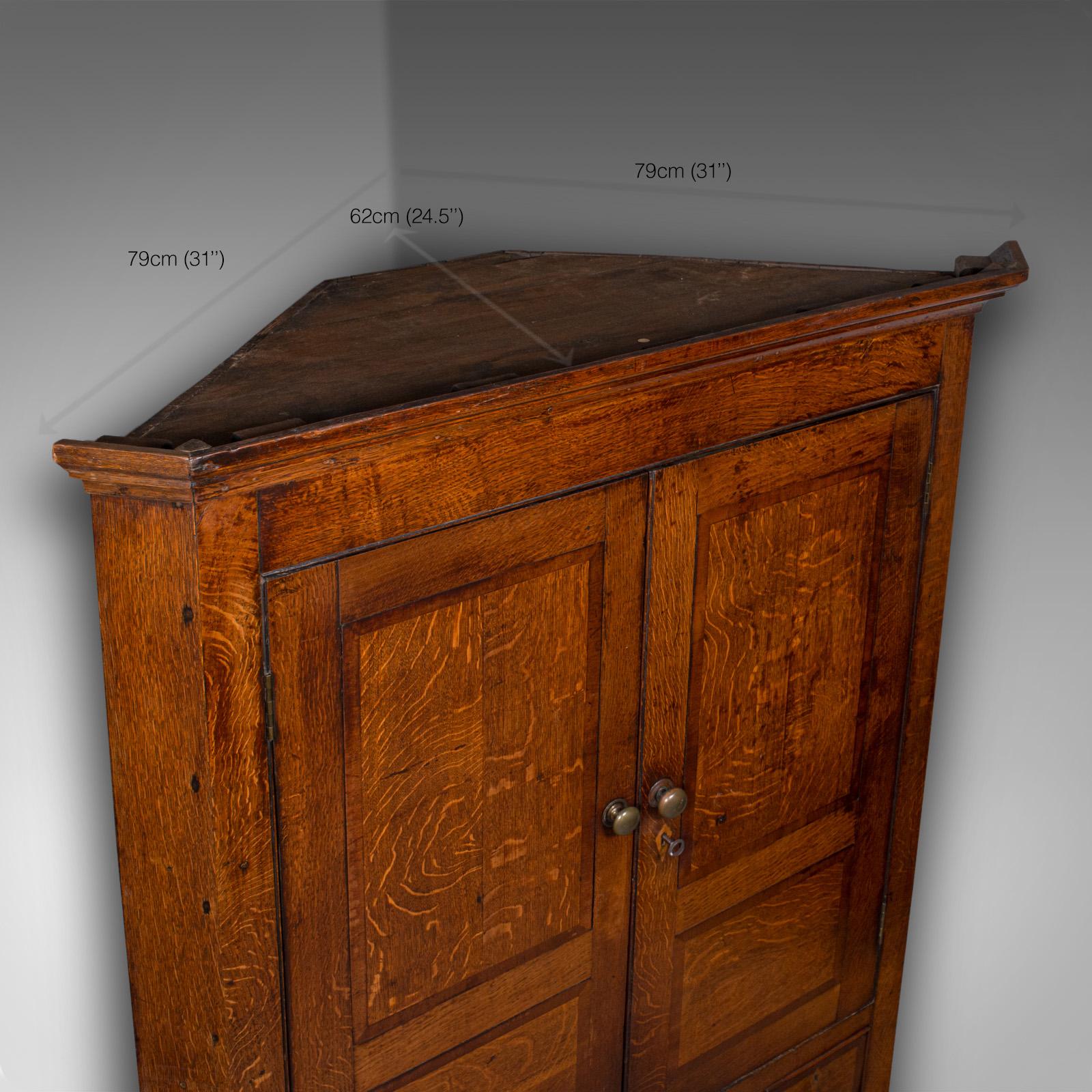 7' Tall Antique Country Manor Corner Cabinet, Scottish Oak, Cupboard, Georgian 5