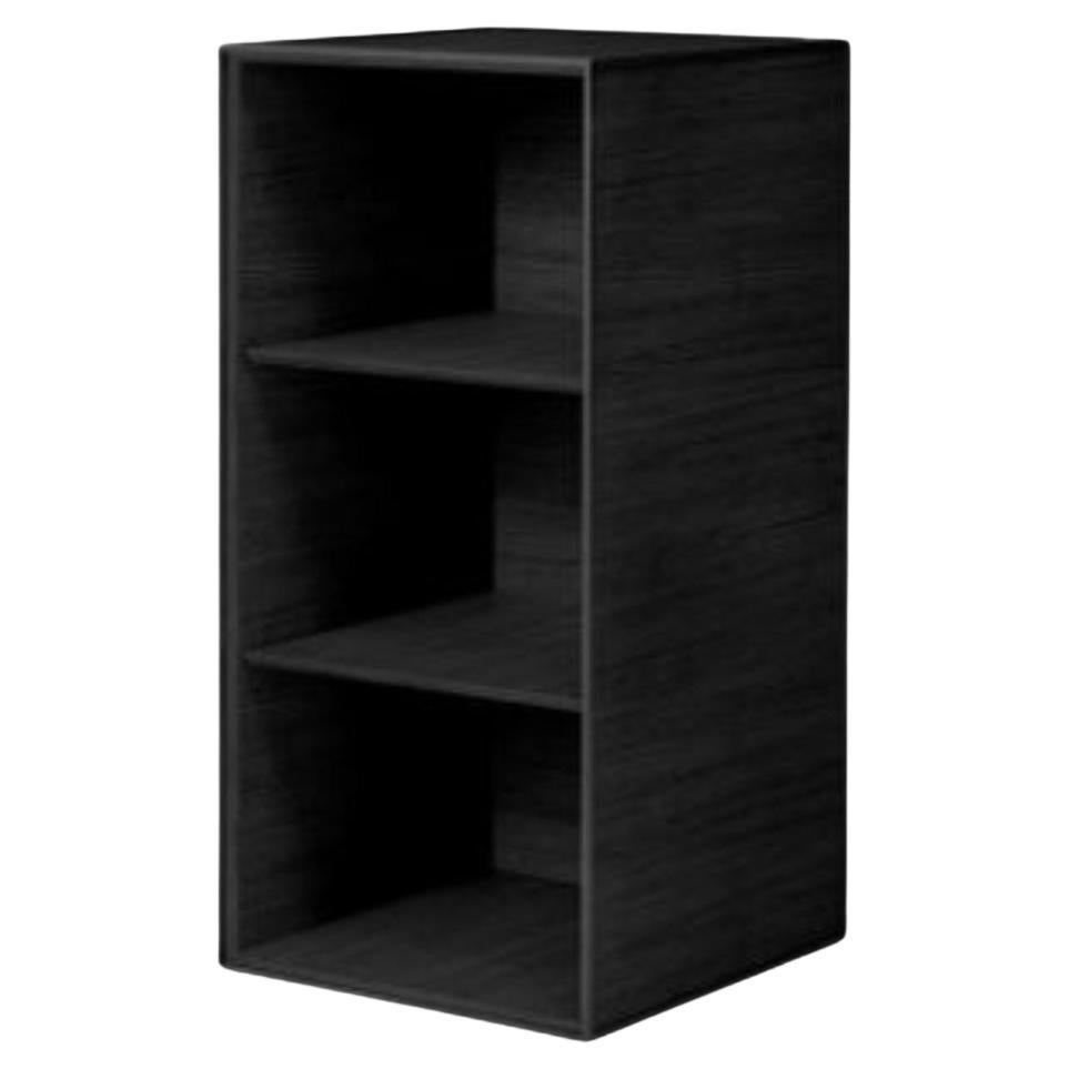 70 Black Ash Frame Box with 2 Shelves by Lassen For Sale